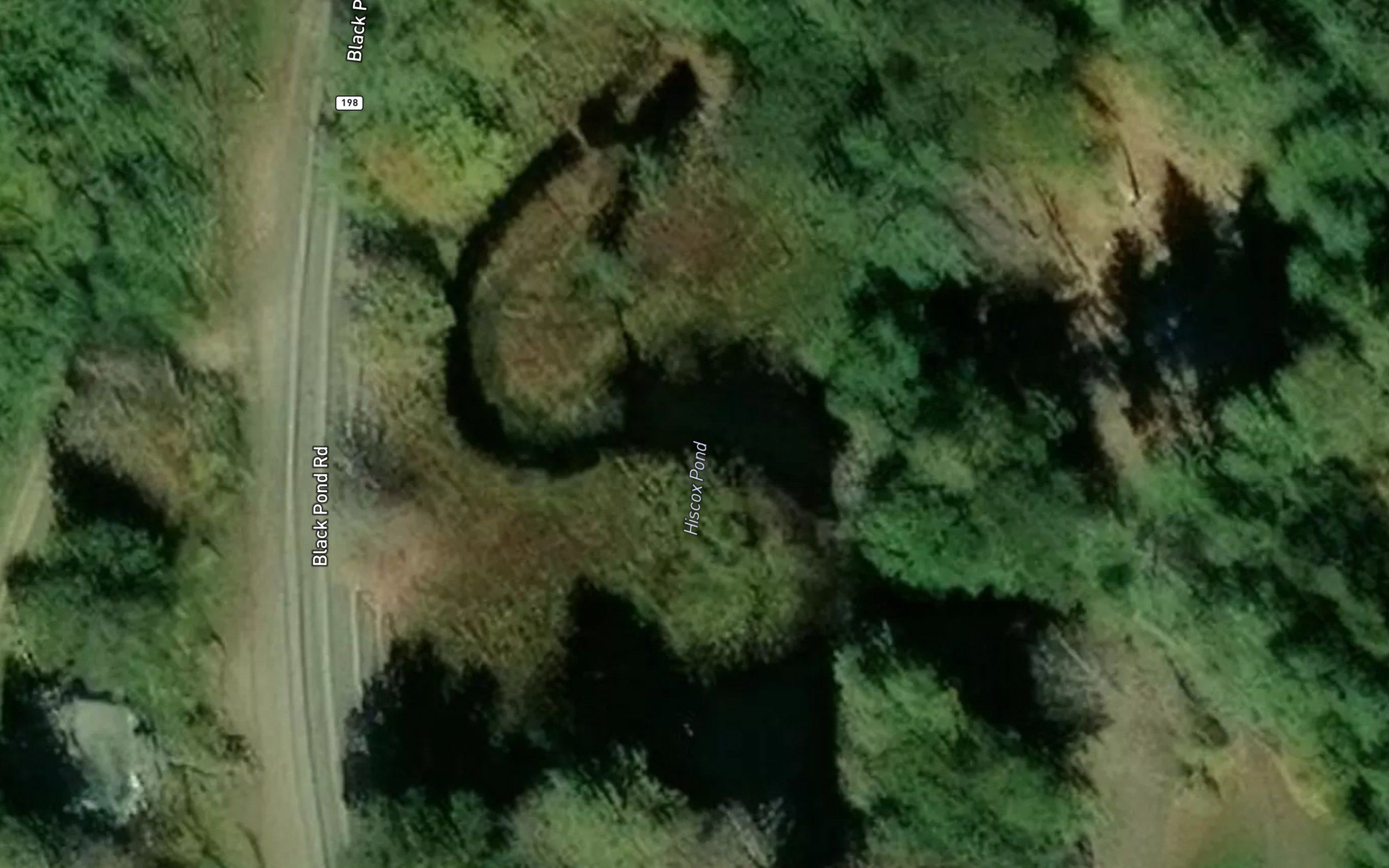 Hiscox Pond