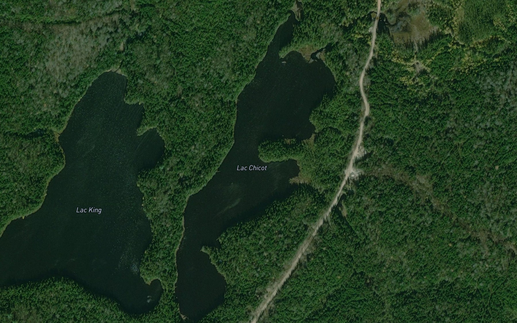 Satellite map of the Lac Chicot