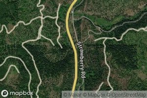 Woodland Creek