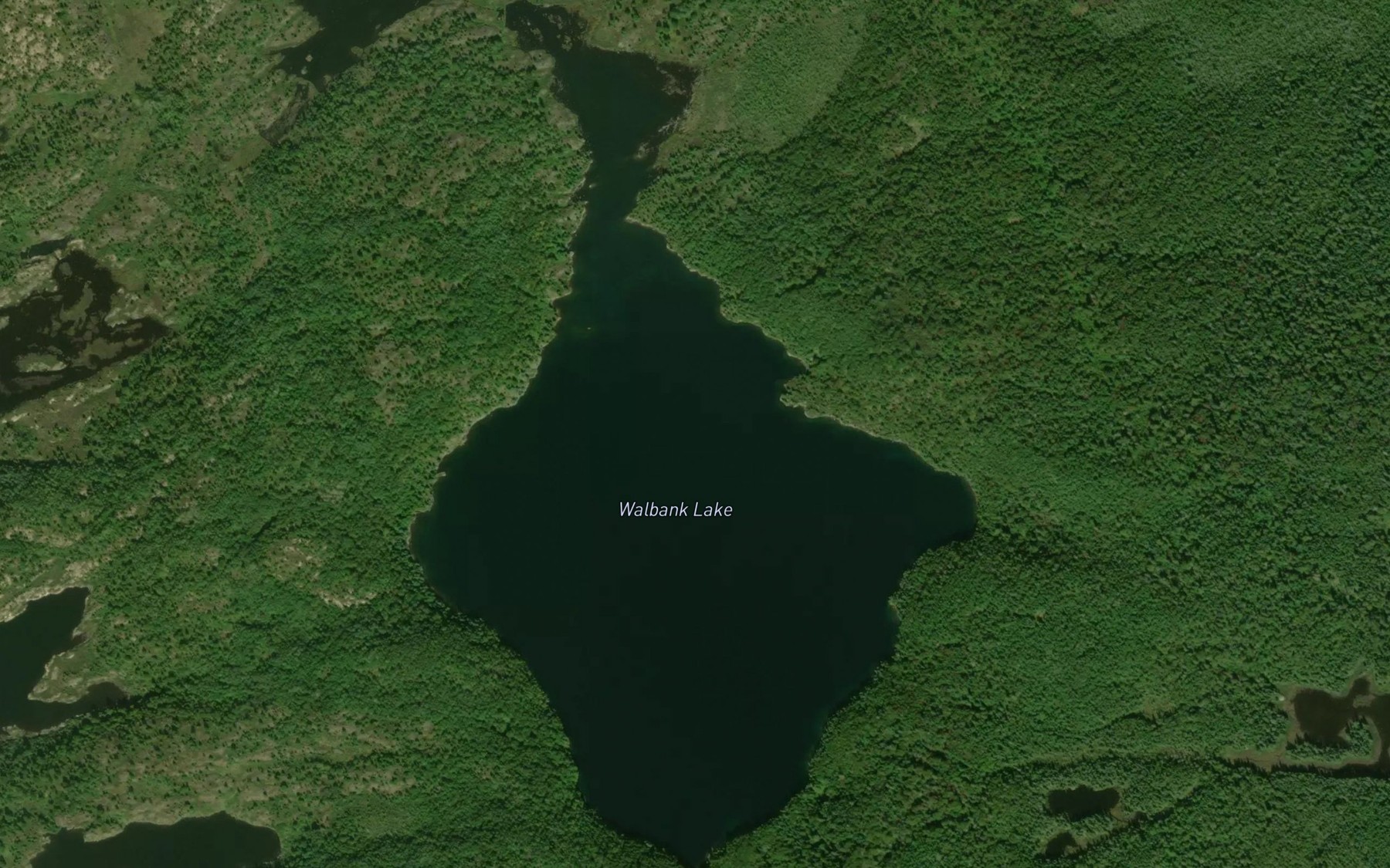 Satellite map of the Walbank Lake