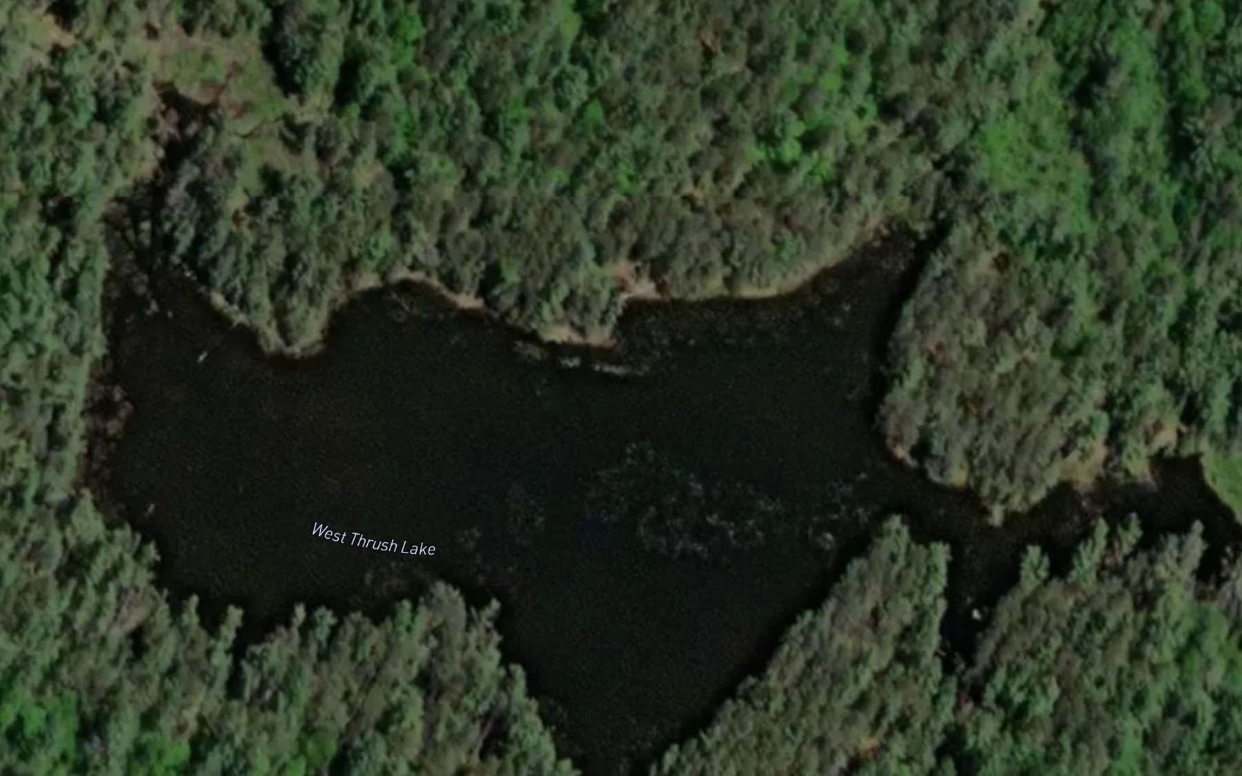 Satellite map of the West Thrush Lake
