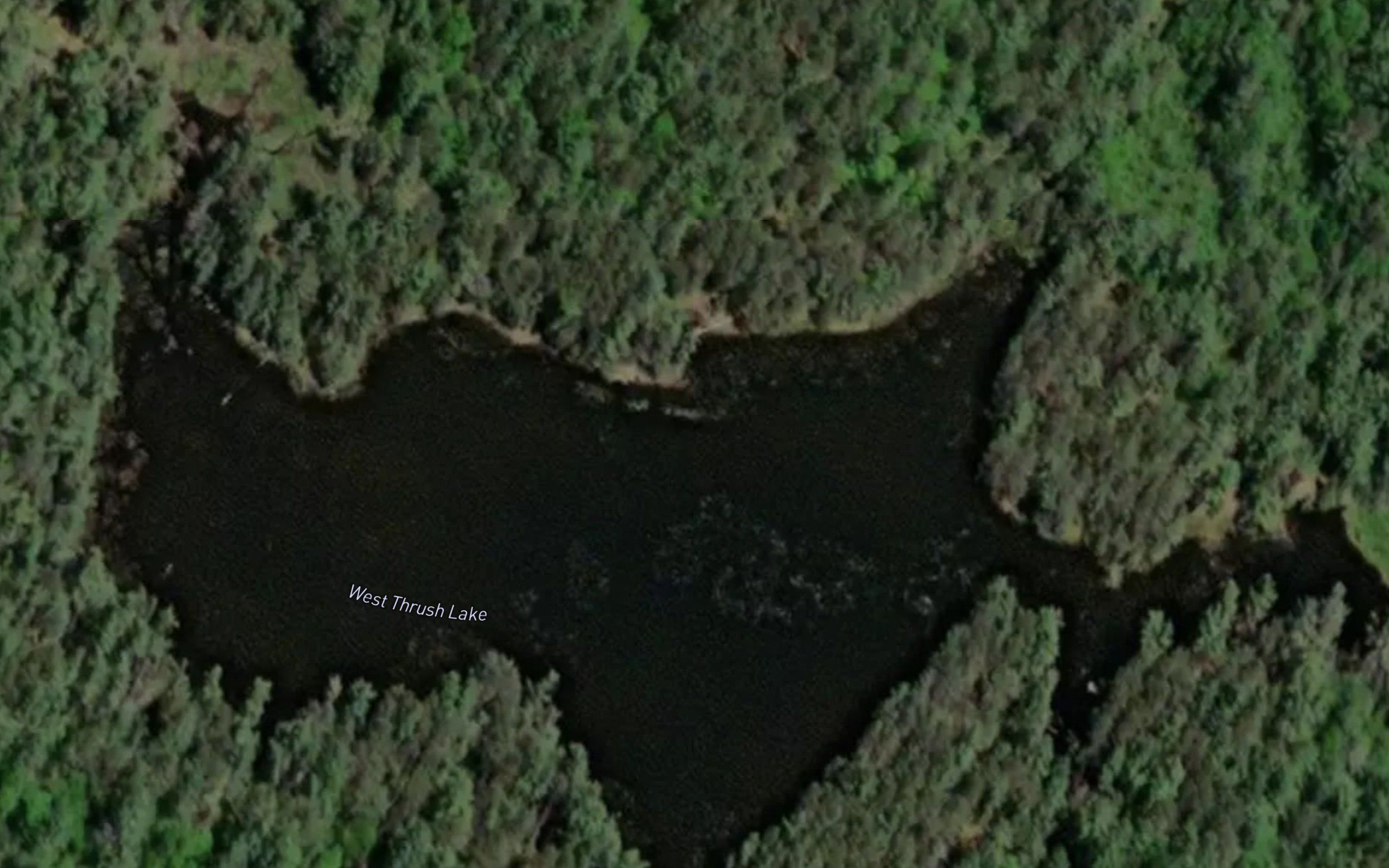 West Thrush Lake