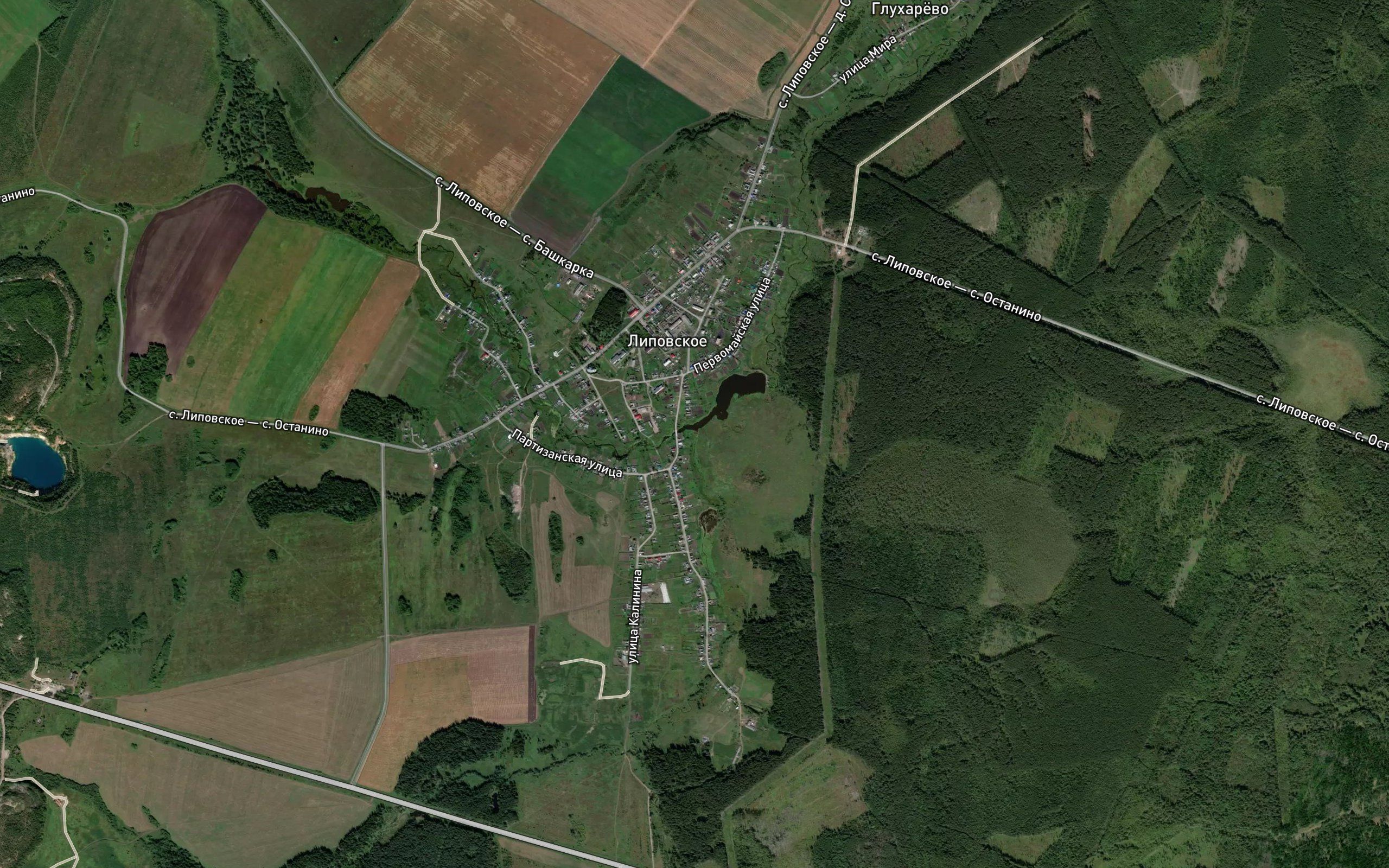 Lipovka