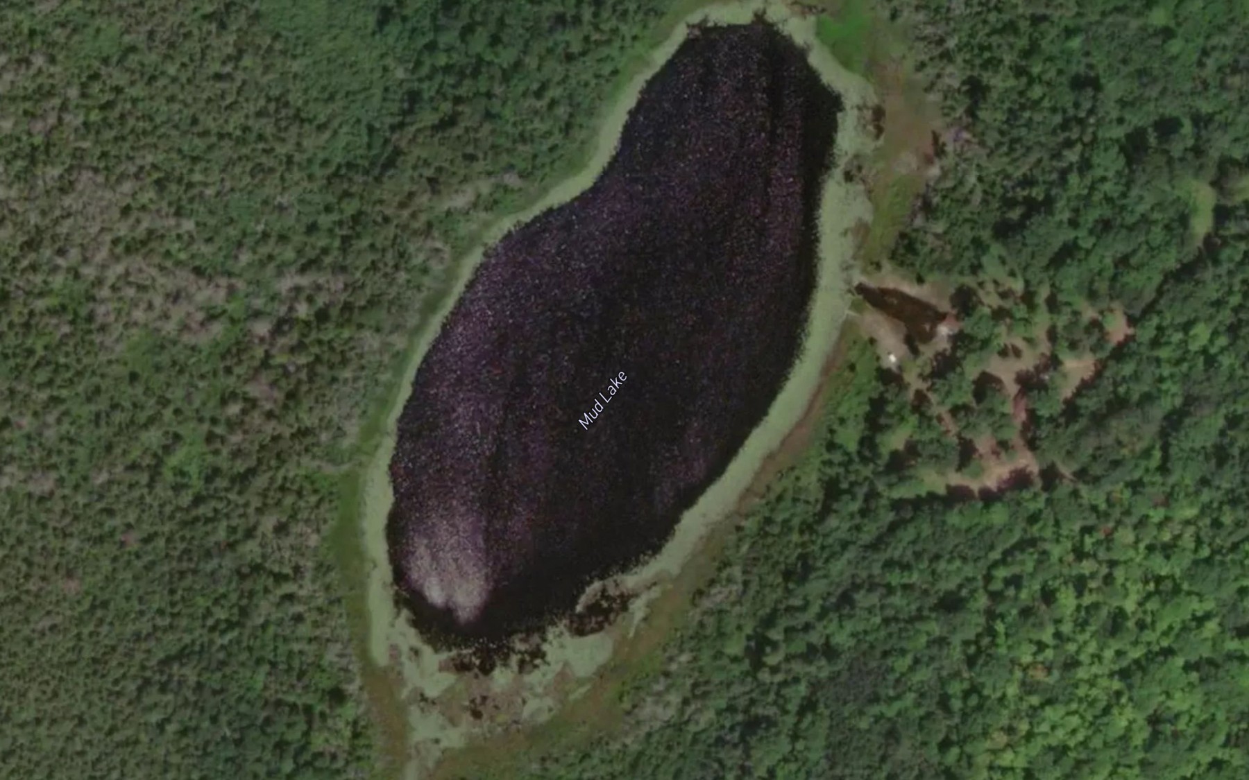 Satellite map of the Mud Lake