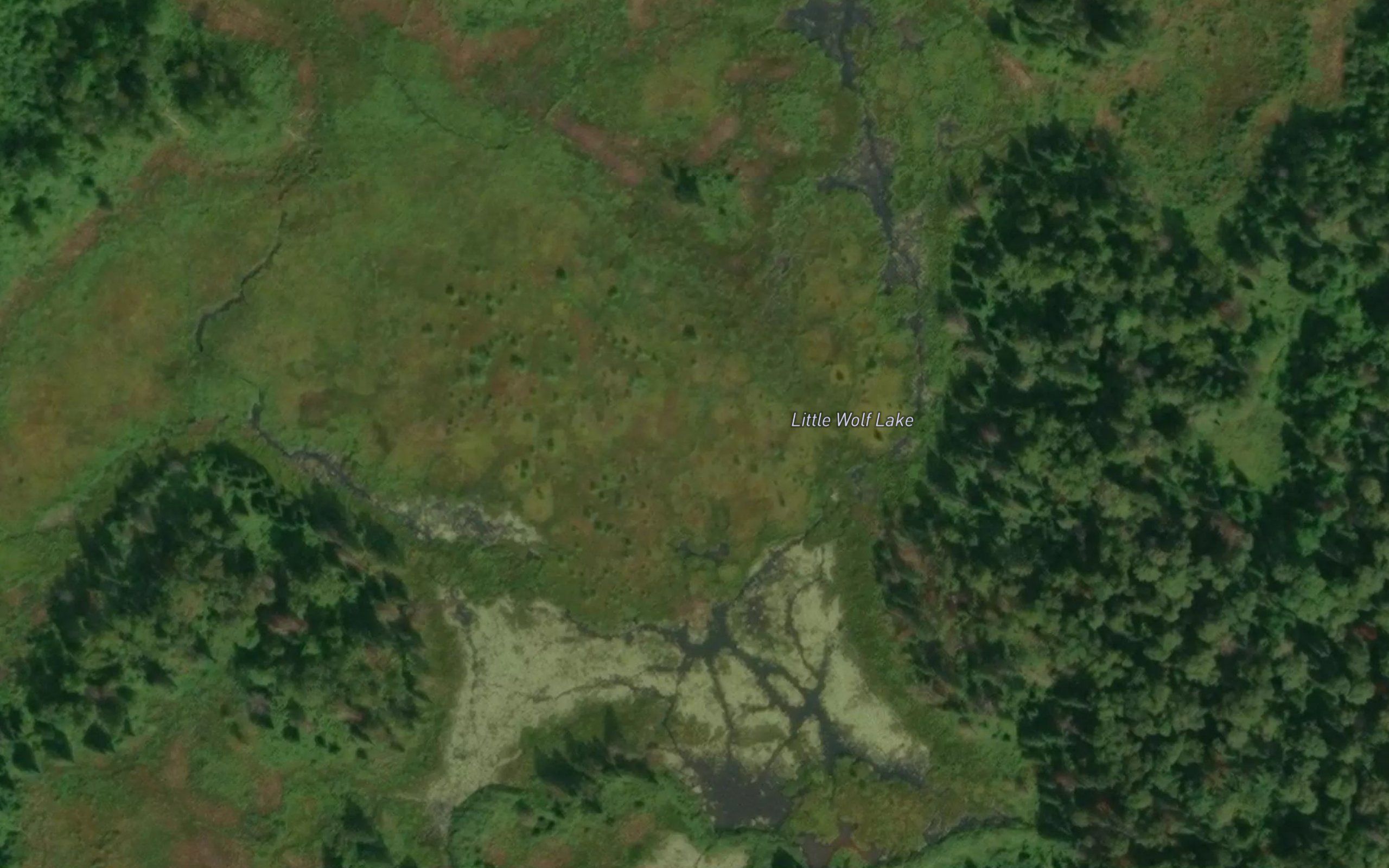 Little Wolf Lake