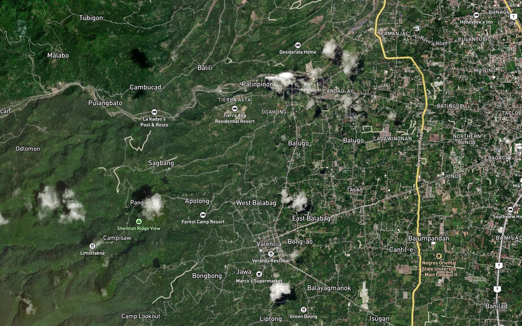 Satellite map of the Palinpinon River