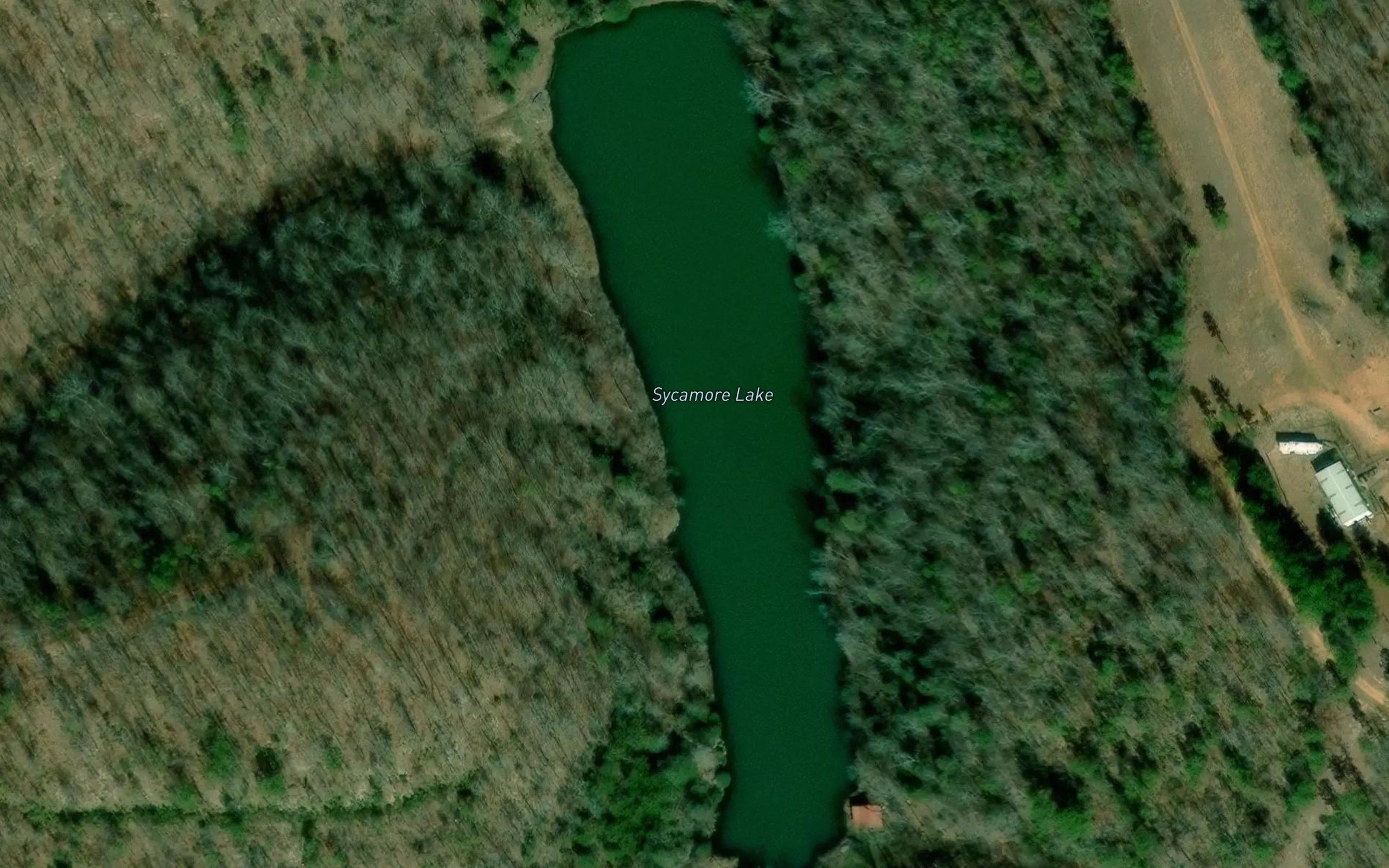 Sycamore Lake