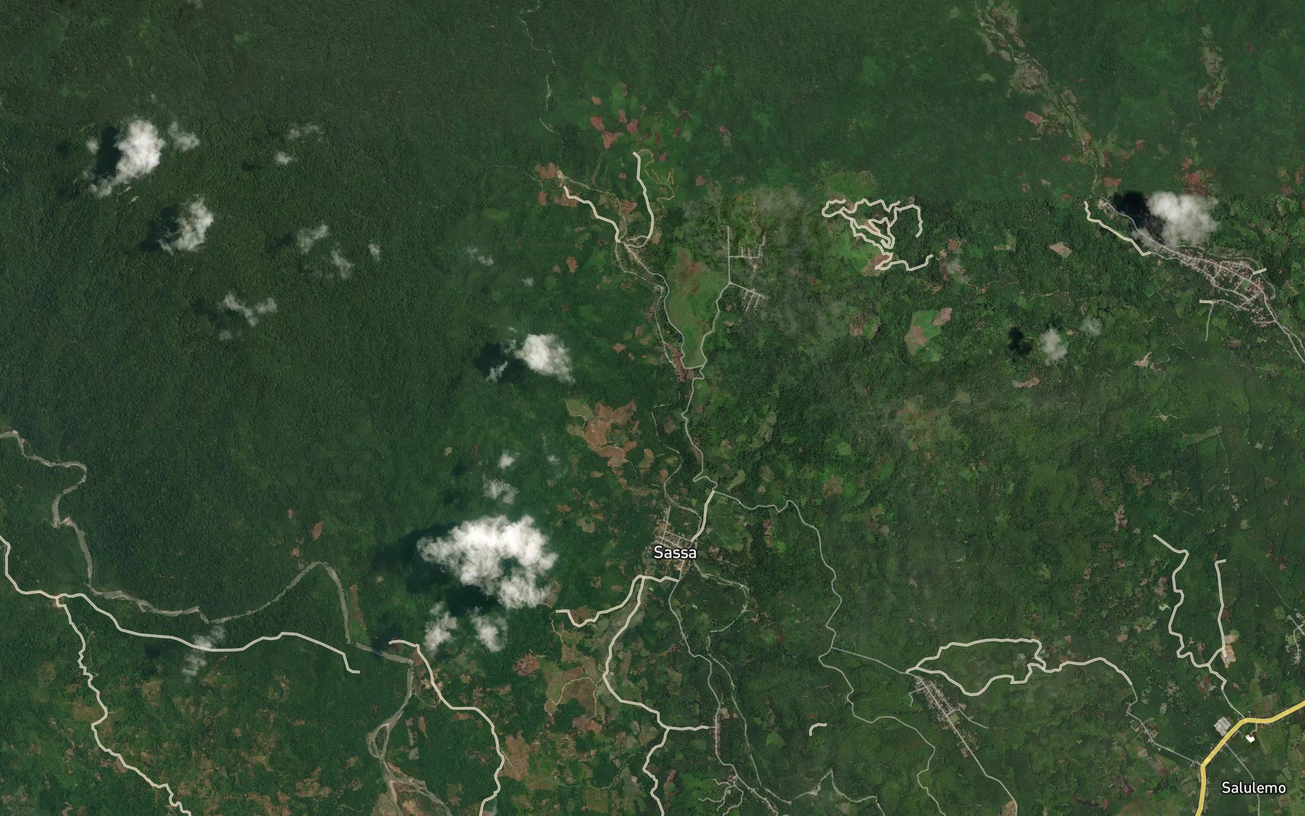 Salu Pasangkia