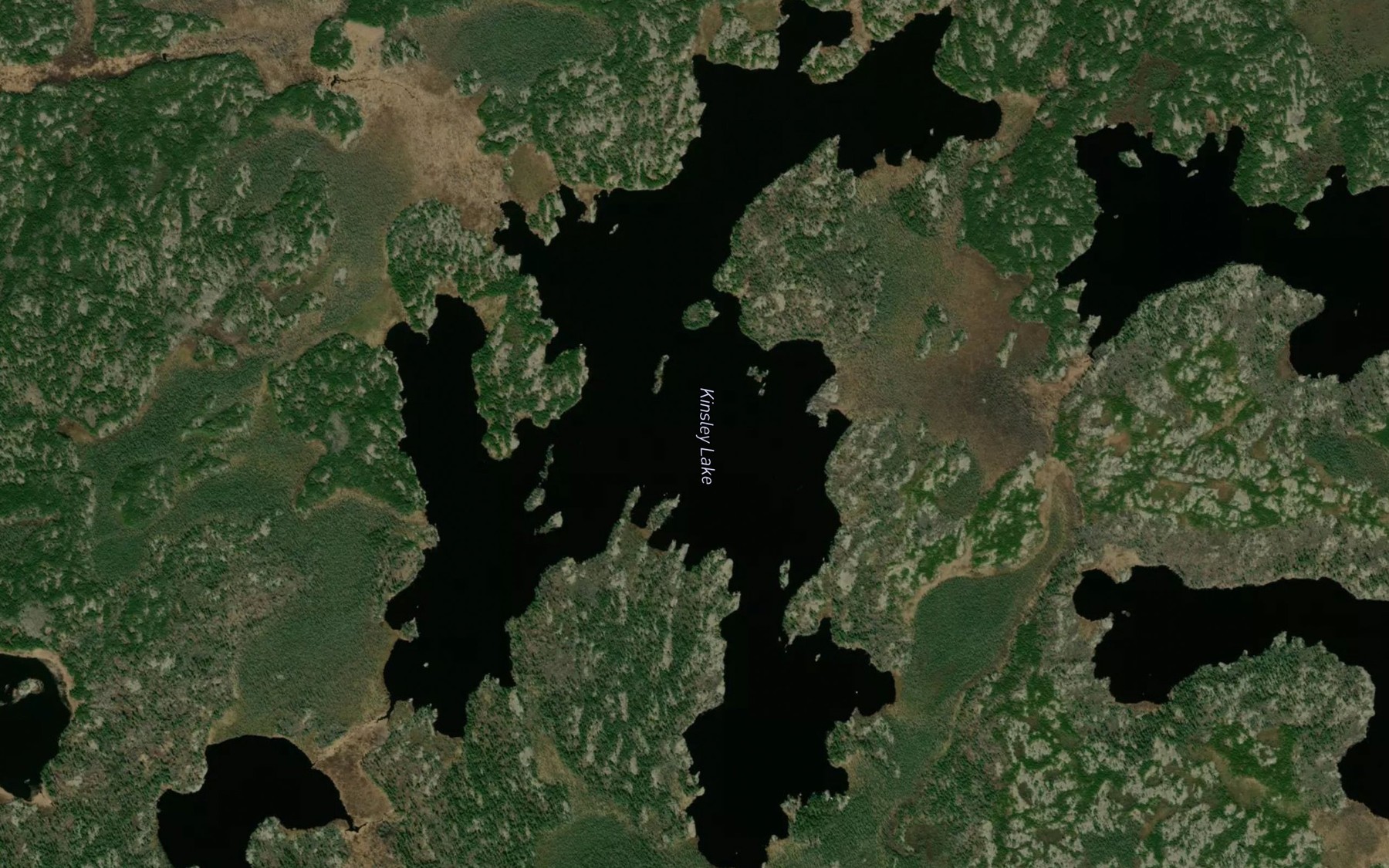 Satellite map of the Kinsley Lake