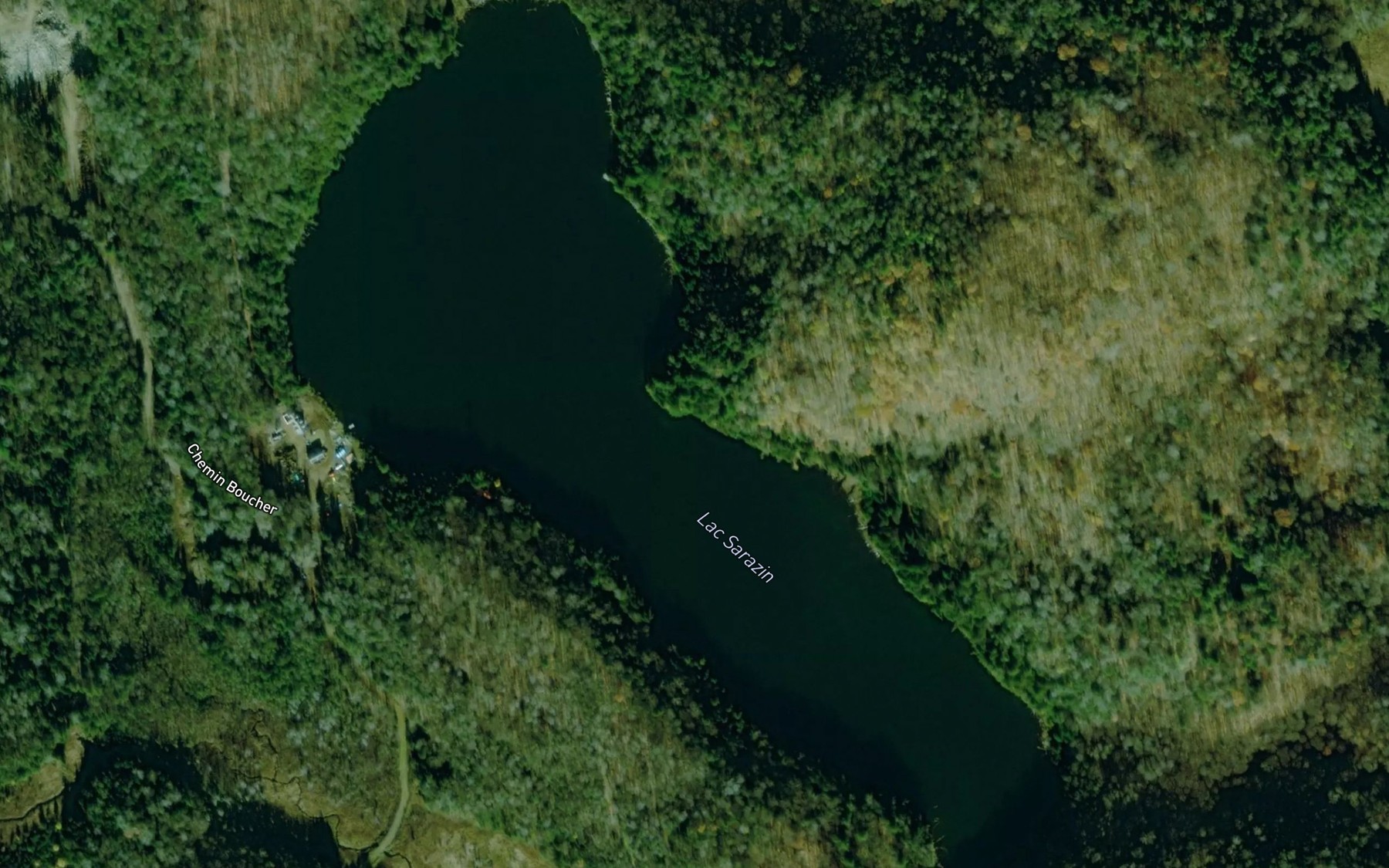 Satellite map of the Lac Sarazin