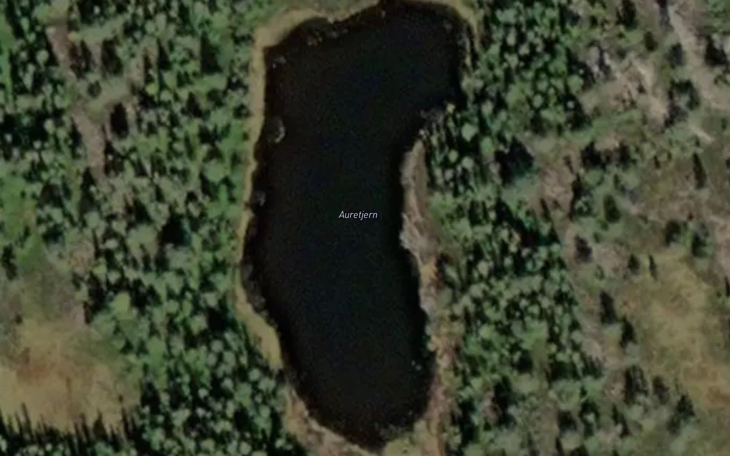 Auretjern