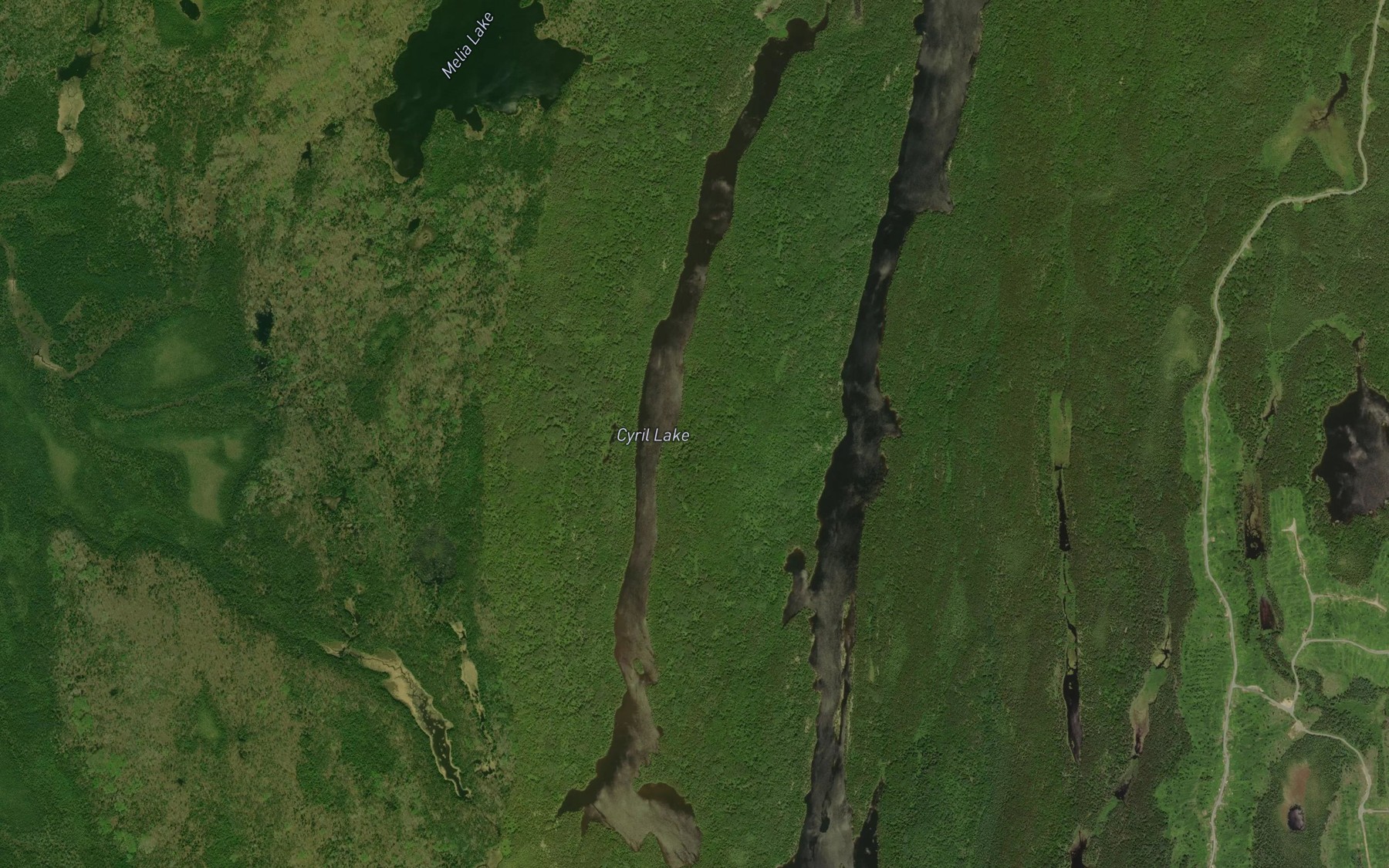 Satellite map of the Cyril Lake