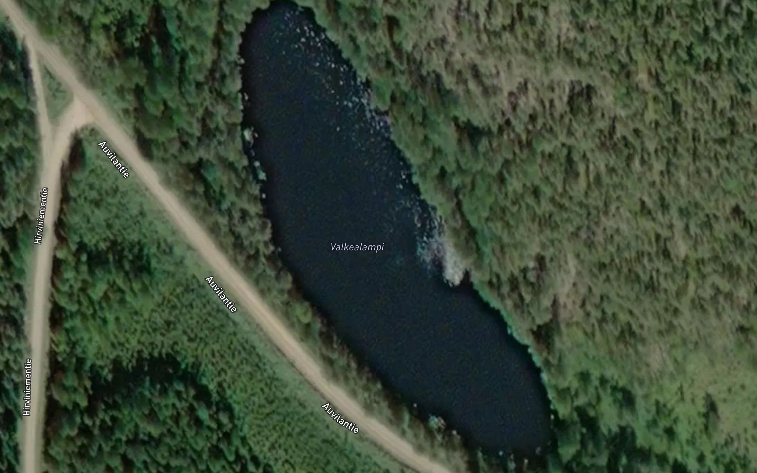 Valkealampi