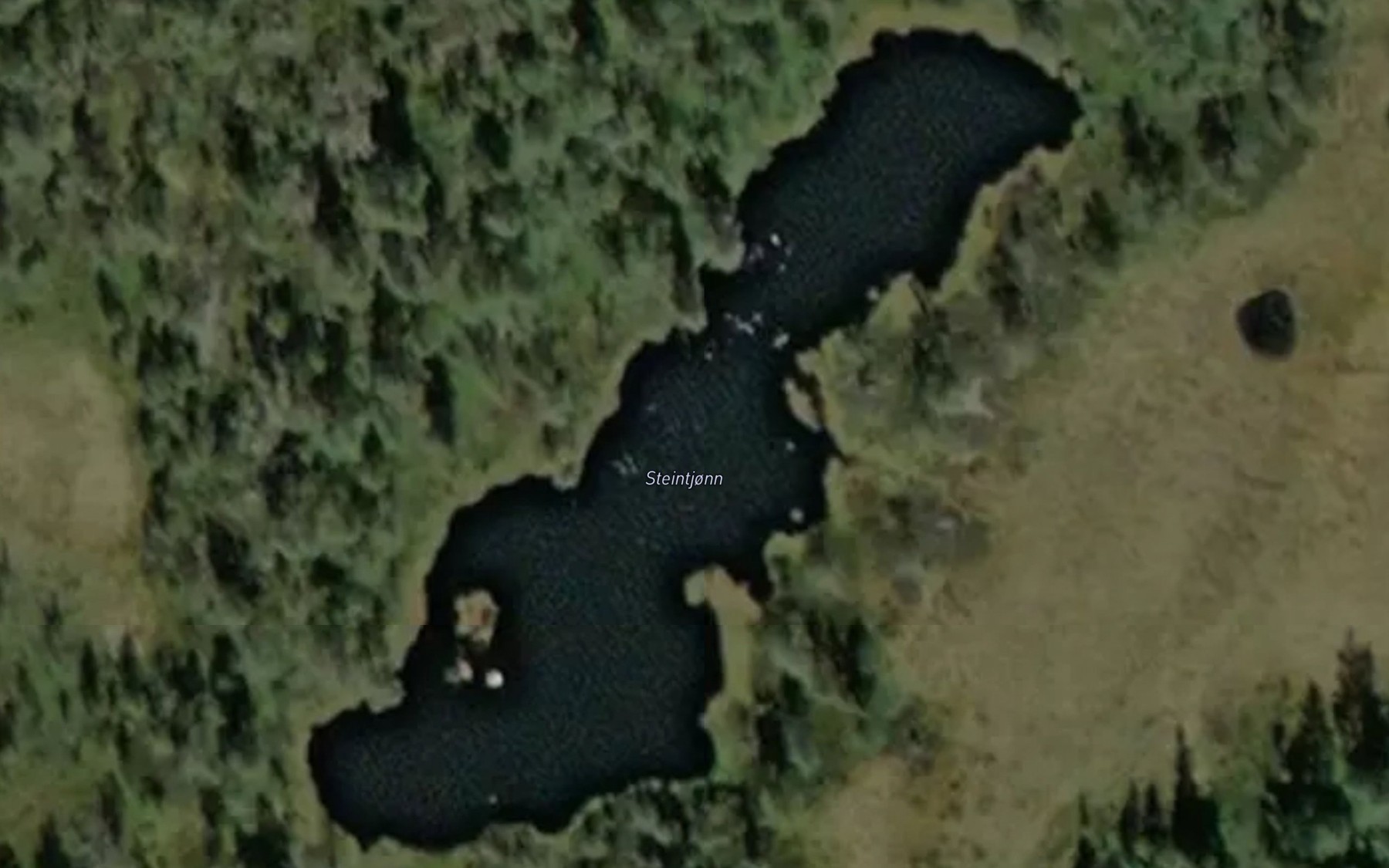 Satellite map of the Steintjonn