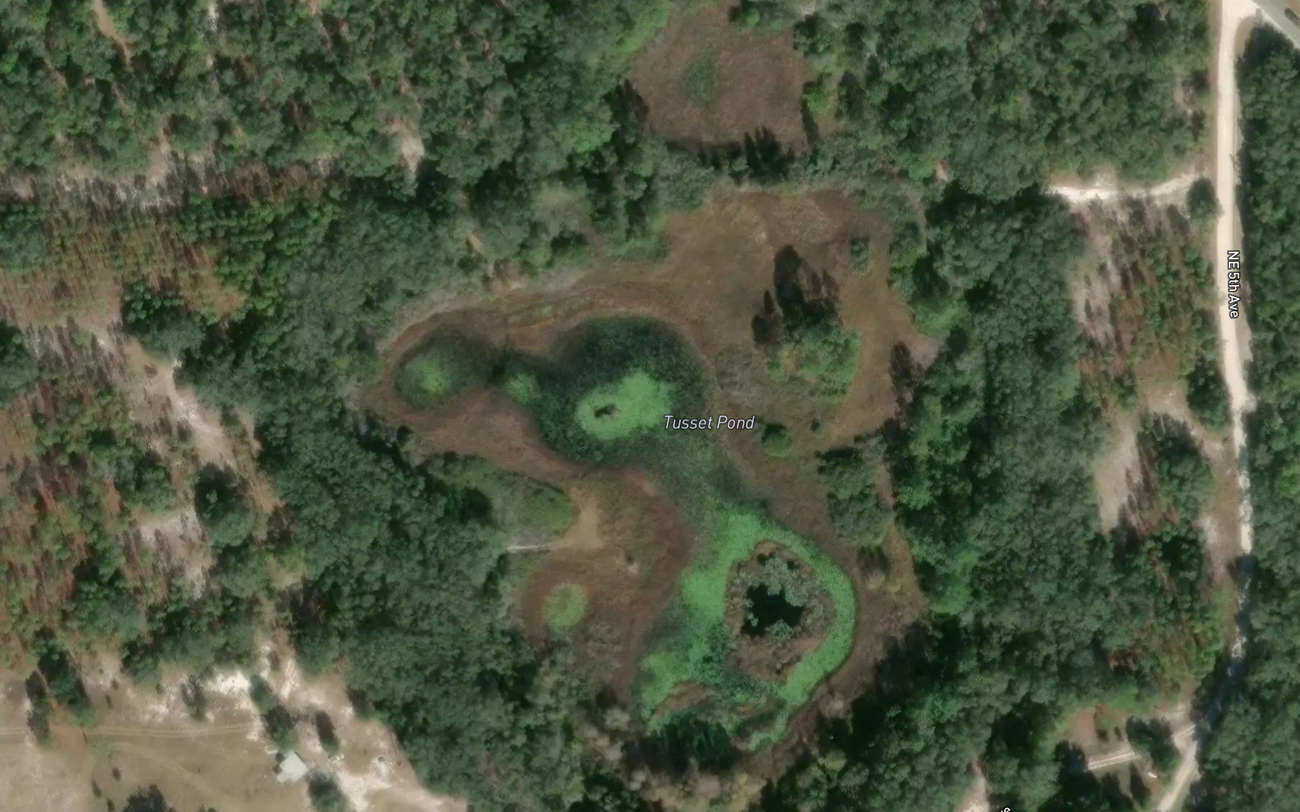 Tusset Pond