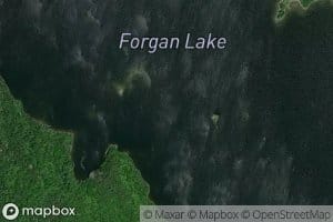 Forgan Lake