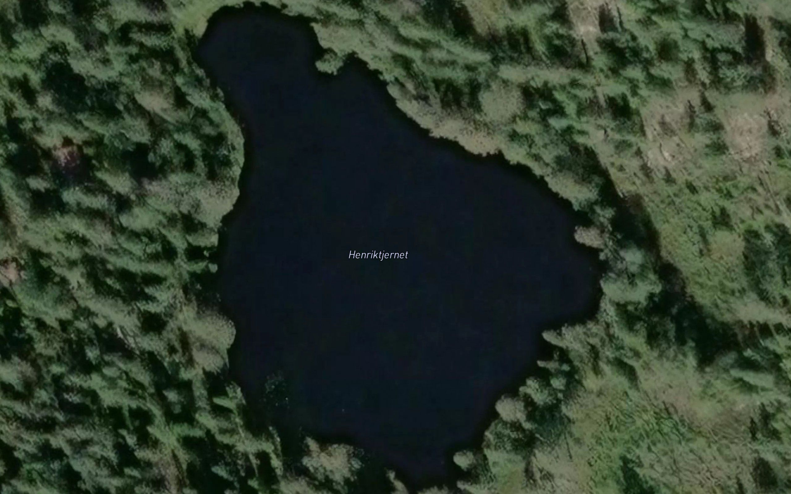 Henrikstjenn