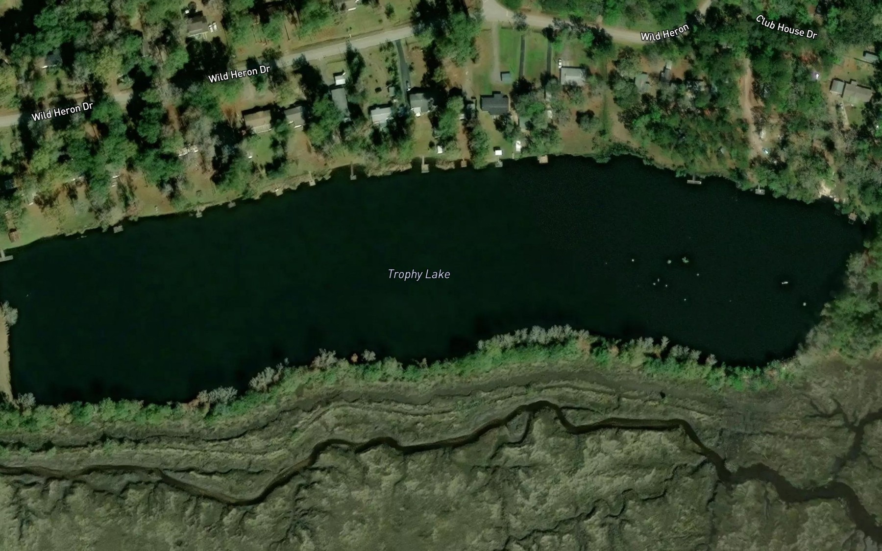 Satellite map of the Trophy Lake