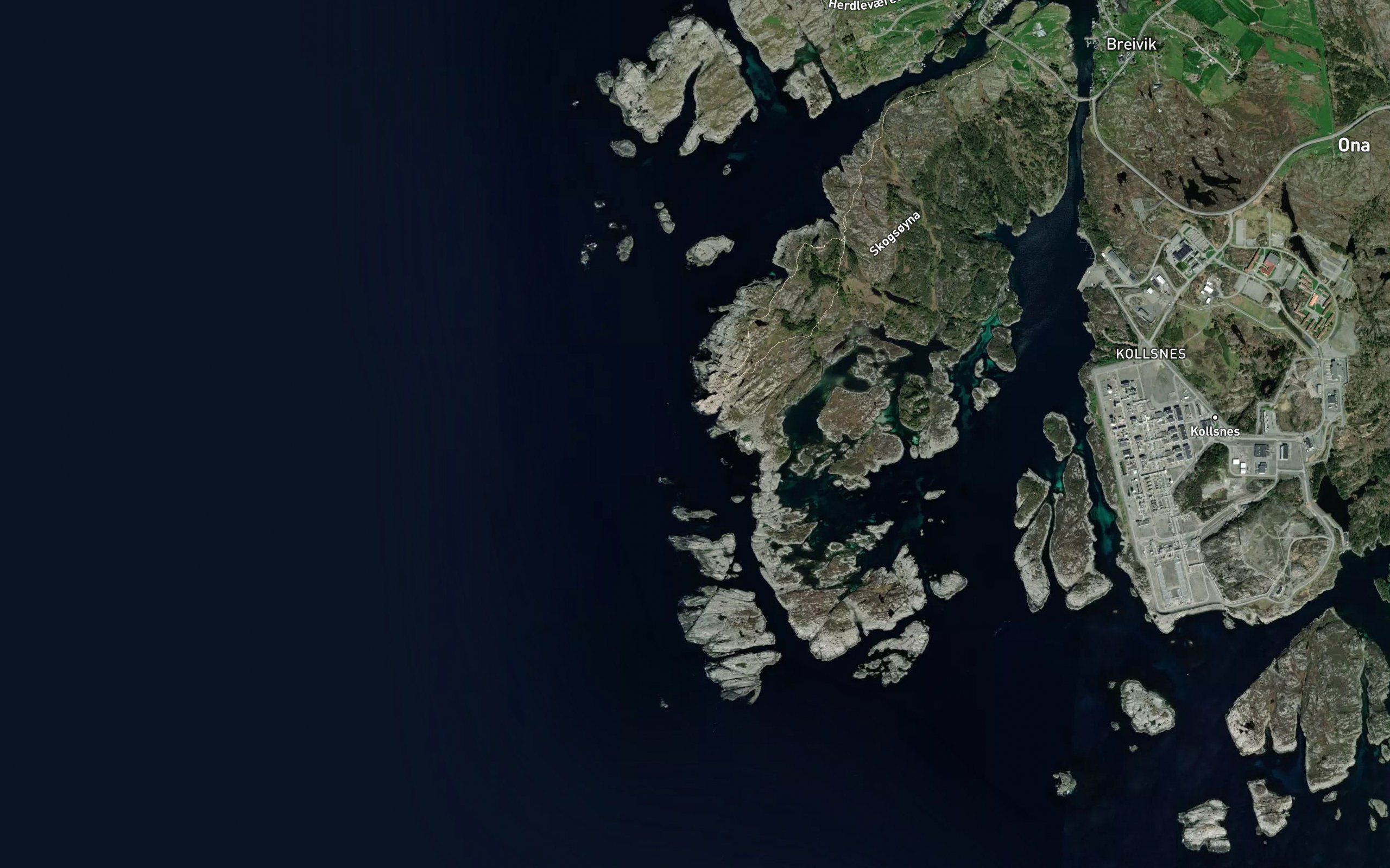 Skogshola