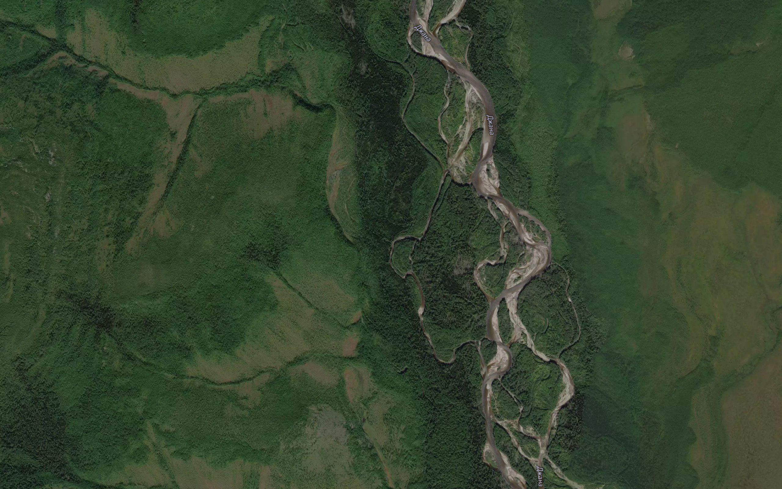 Nizkiy