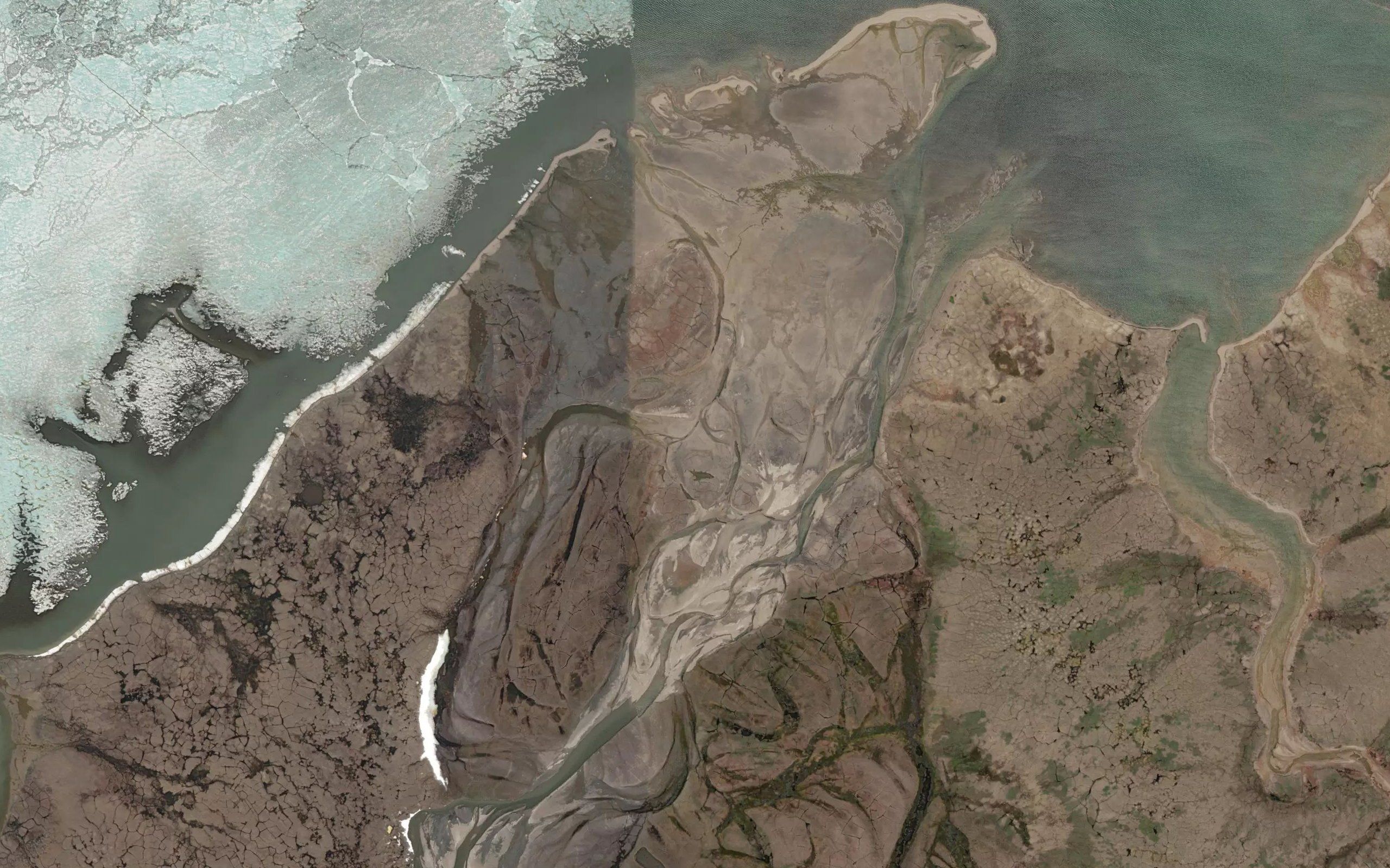 Pestsovaya