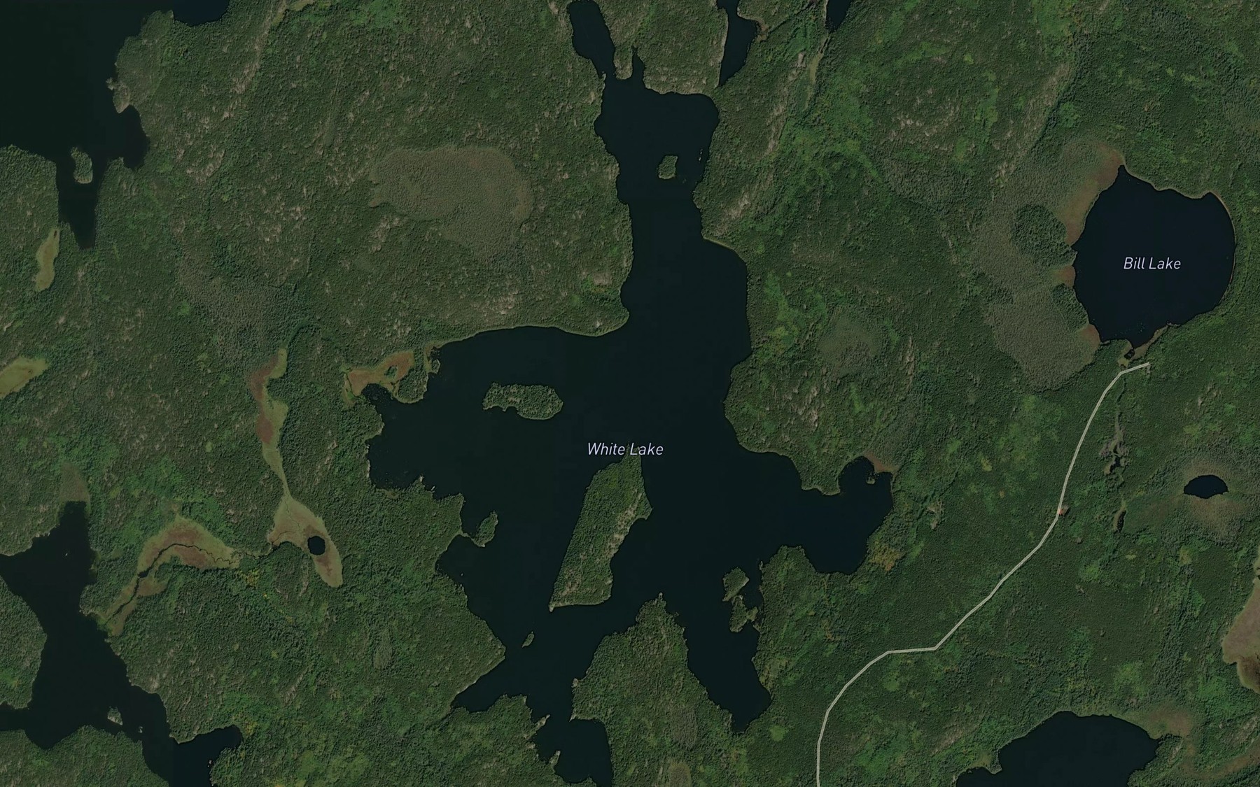 Satellite map of the White Lake