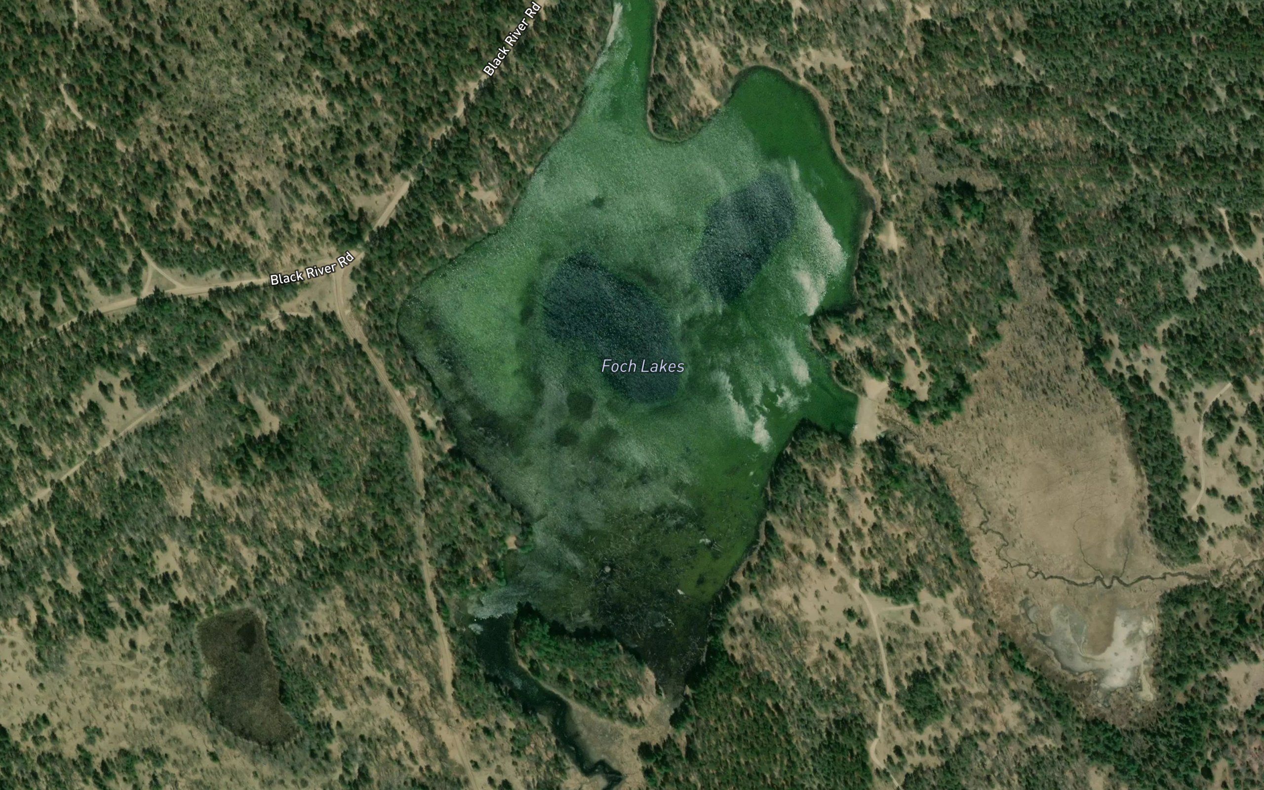 Foch Lakes