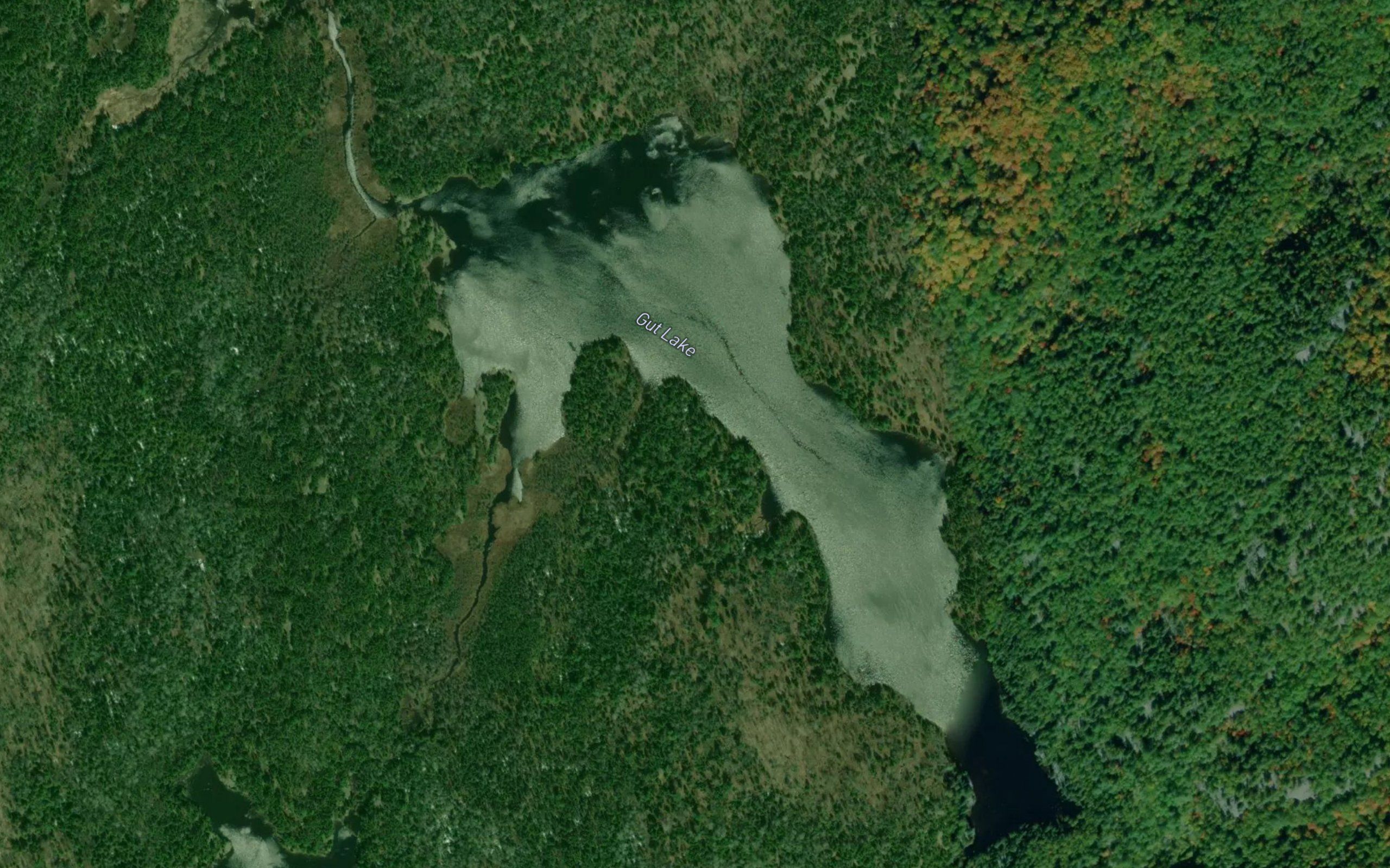 Gut Lake