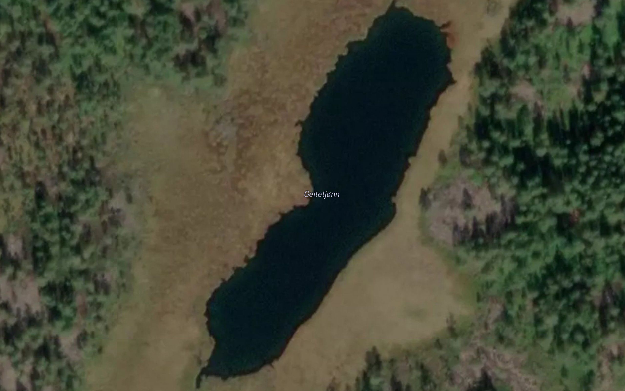 Geitetjorn