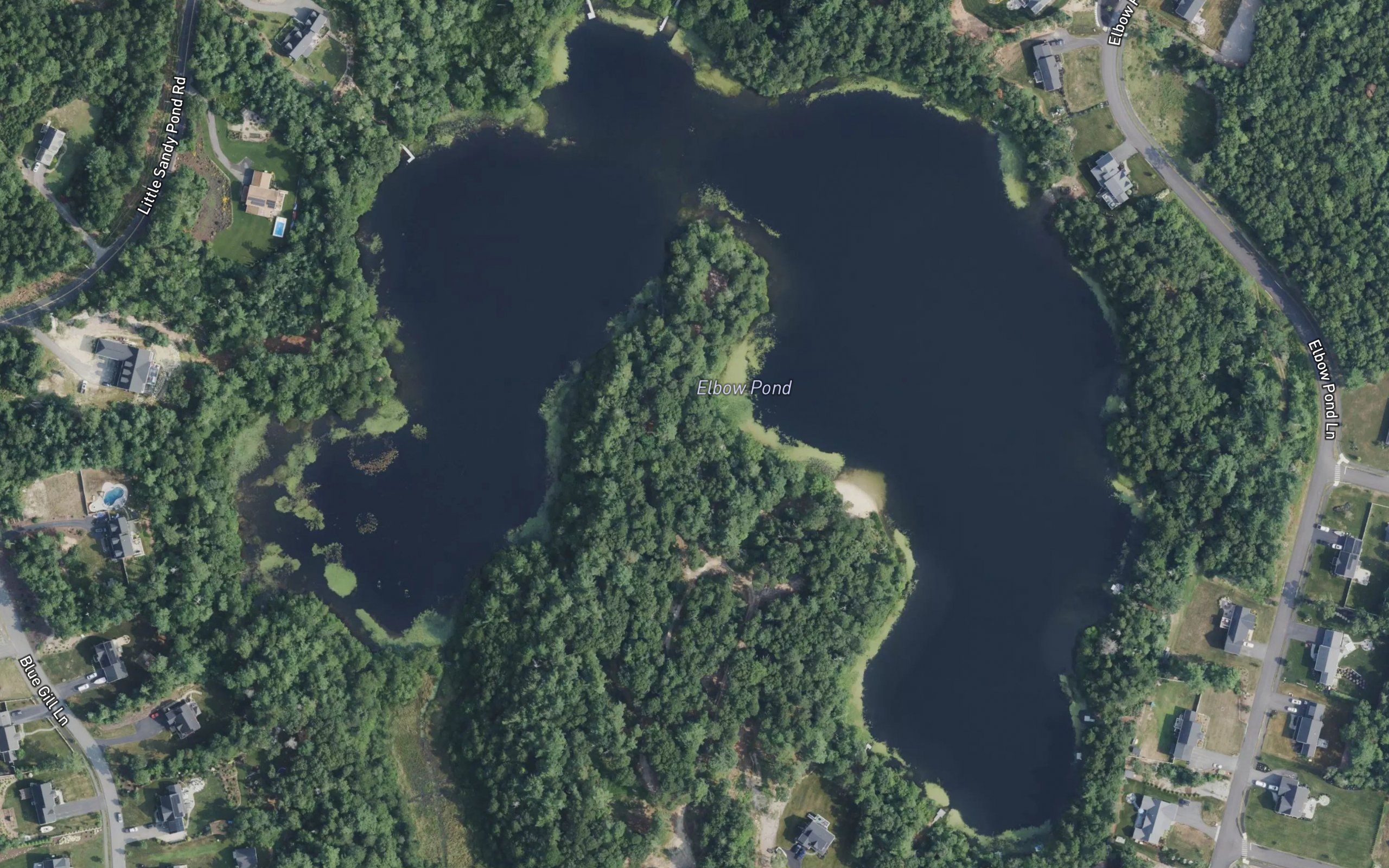 Elbow Pond