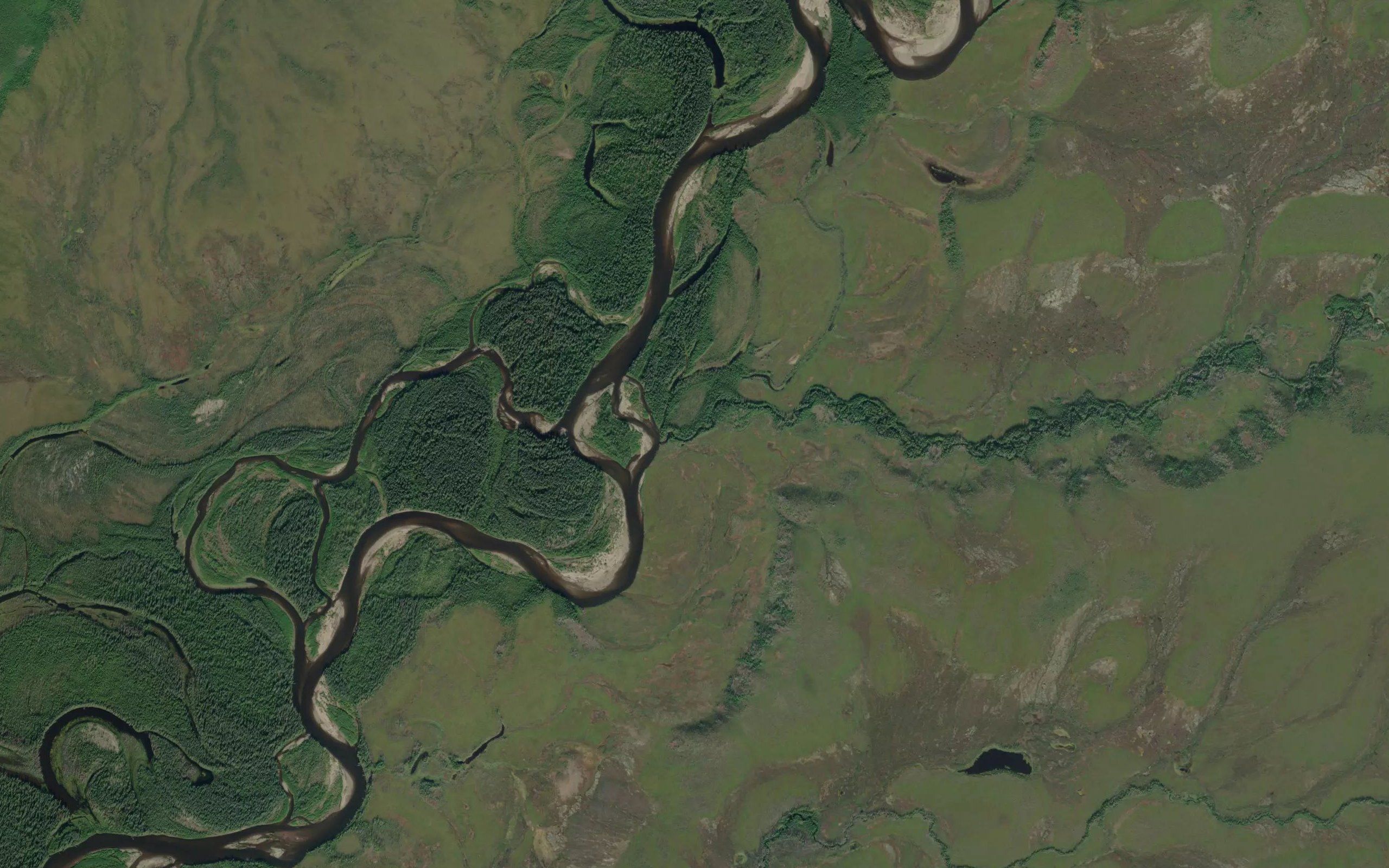 Reindeer Creek