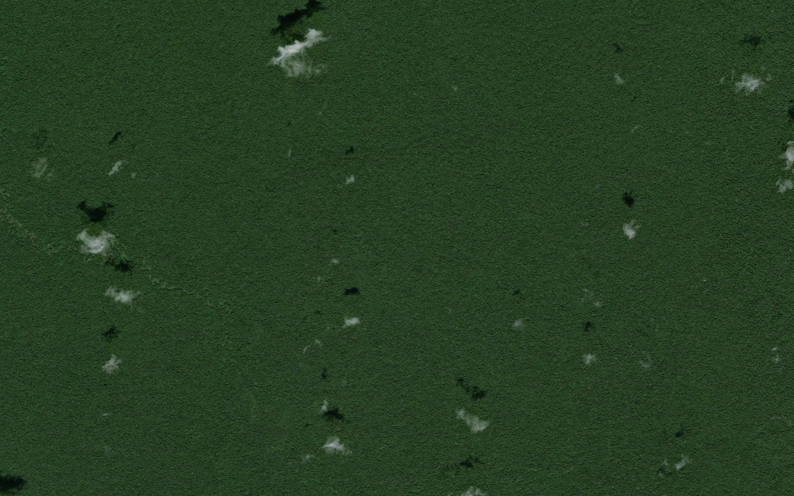 Ungurahue