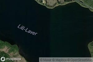 Lill-Laver