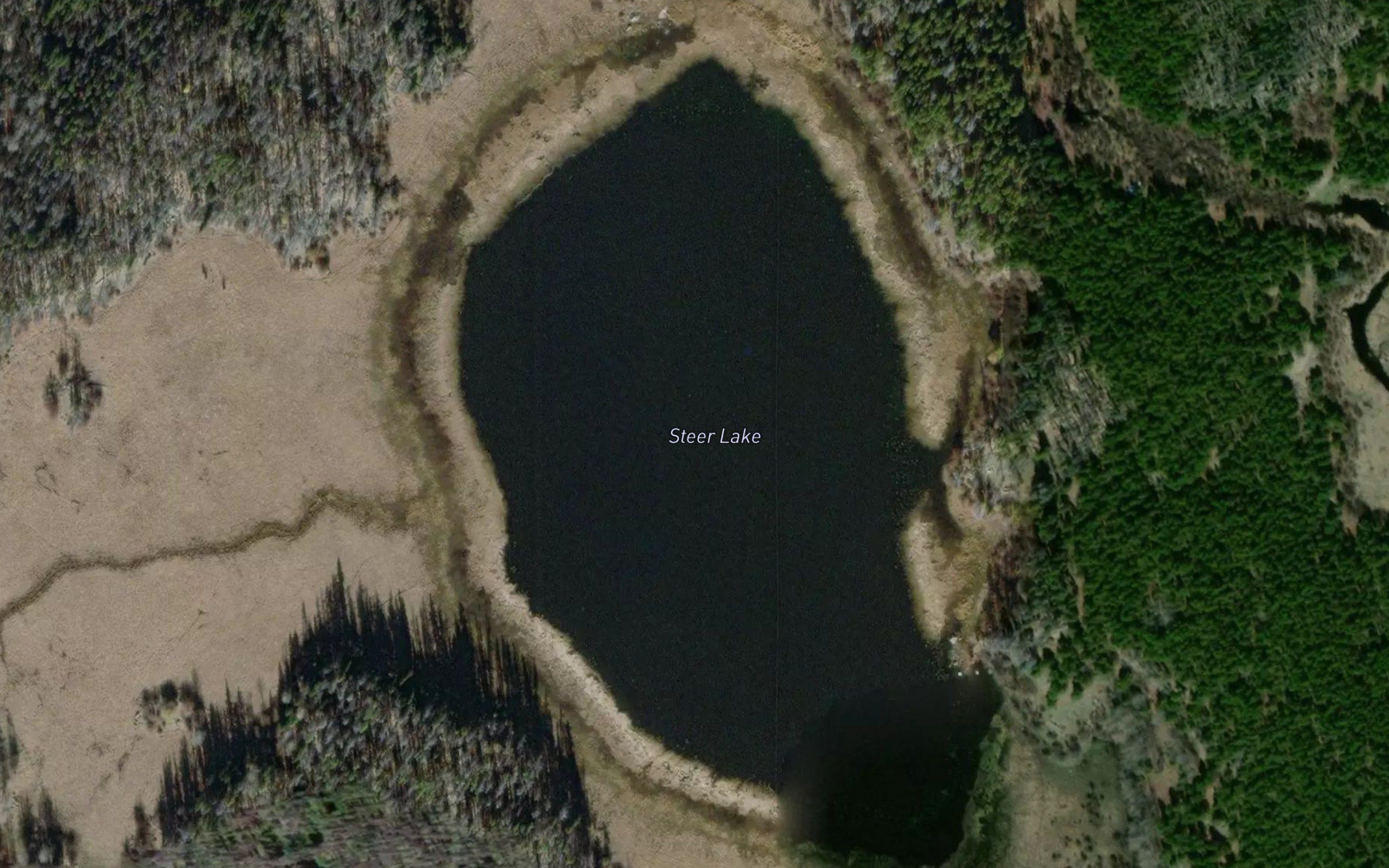 Steer Lake