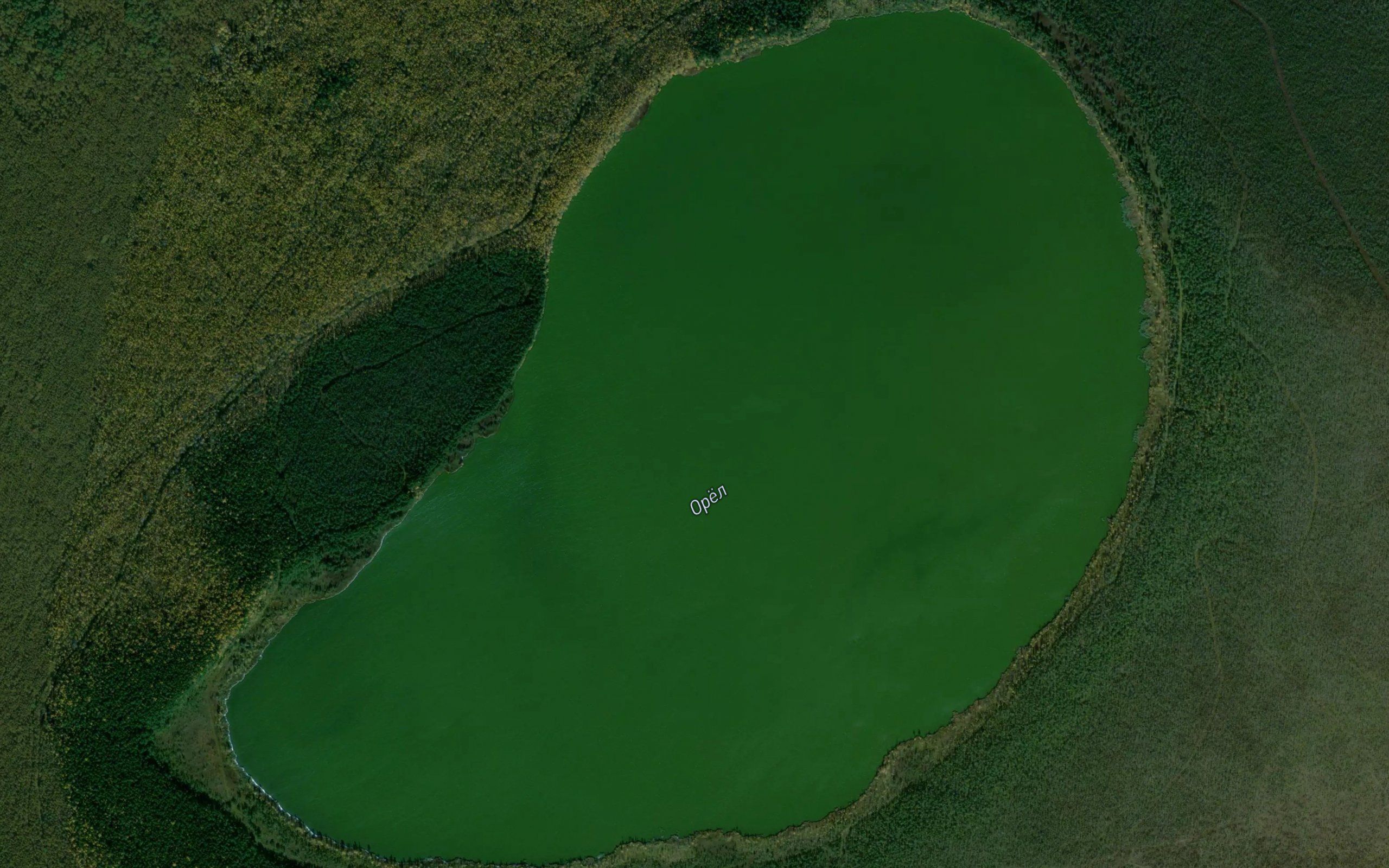 Ozero Orlovo