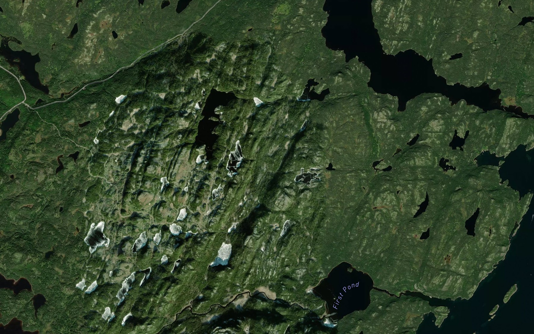 Satellite map of the Berry Hill Pond