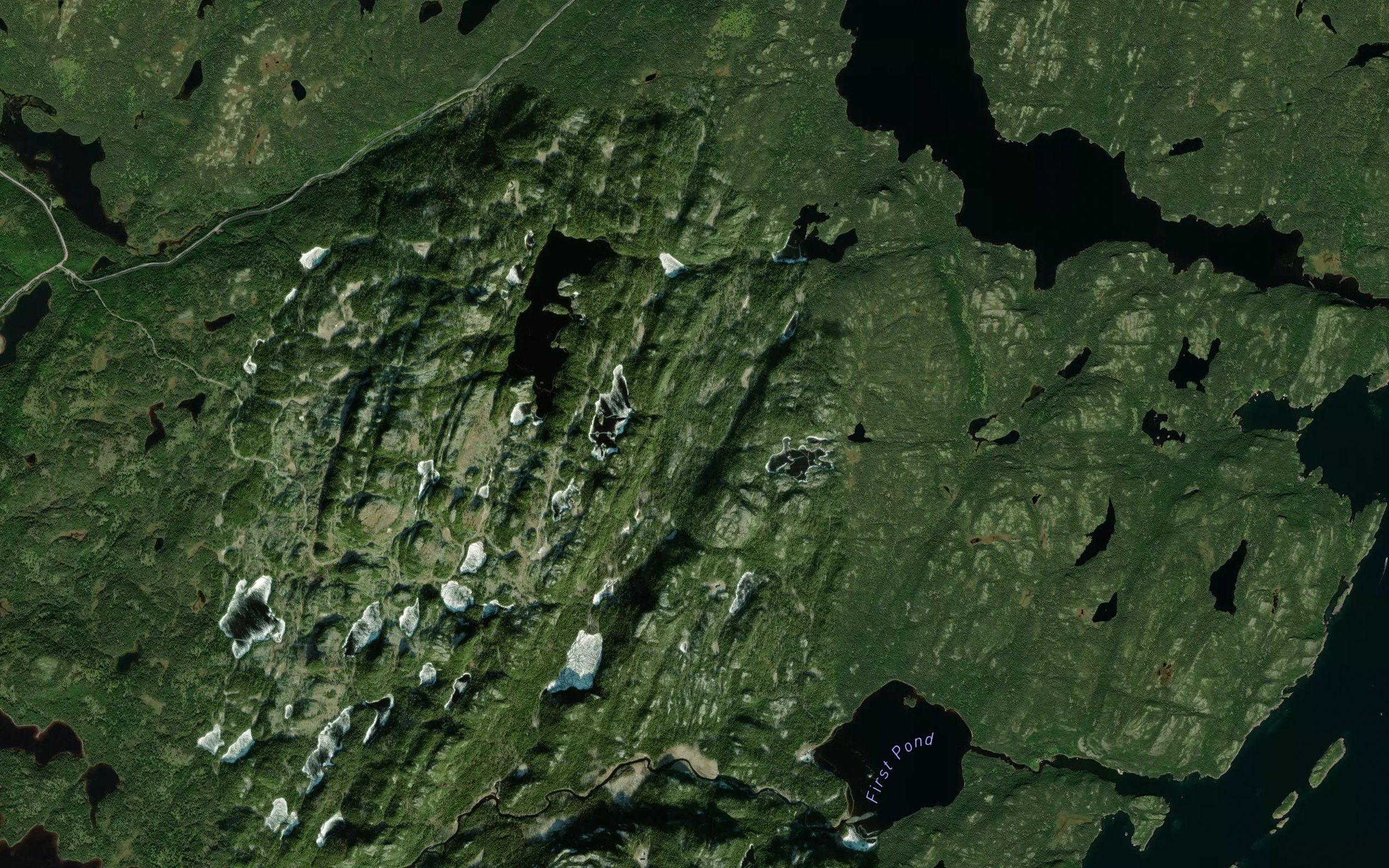 Berry Hill Pond
