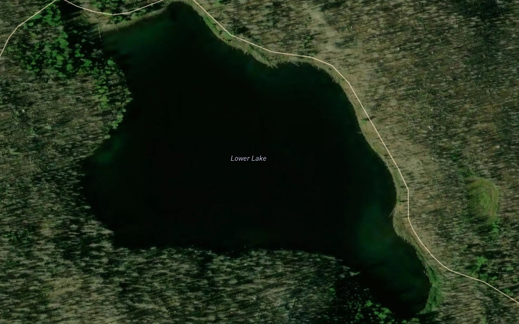 Satellite map of the Lower Lake