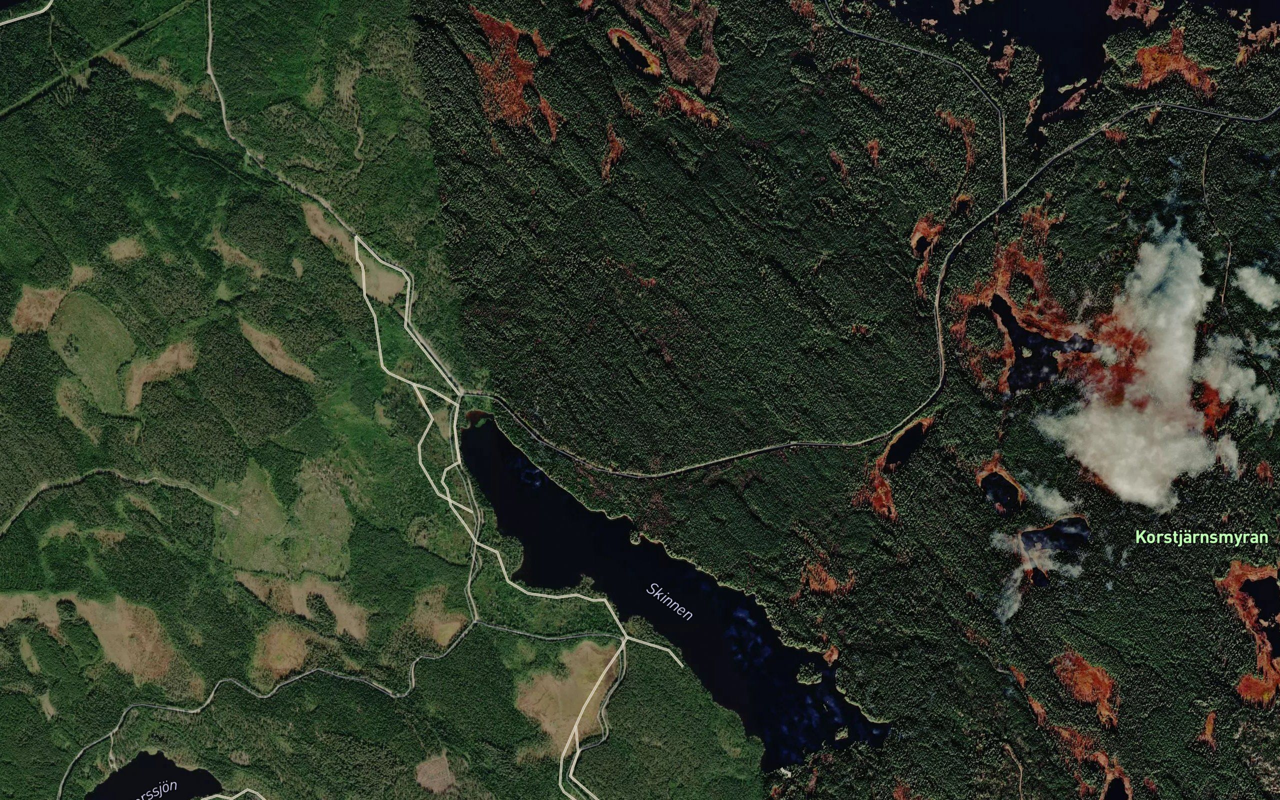 Skinnen