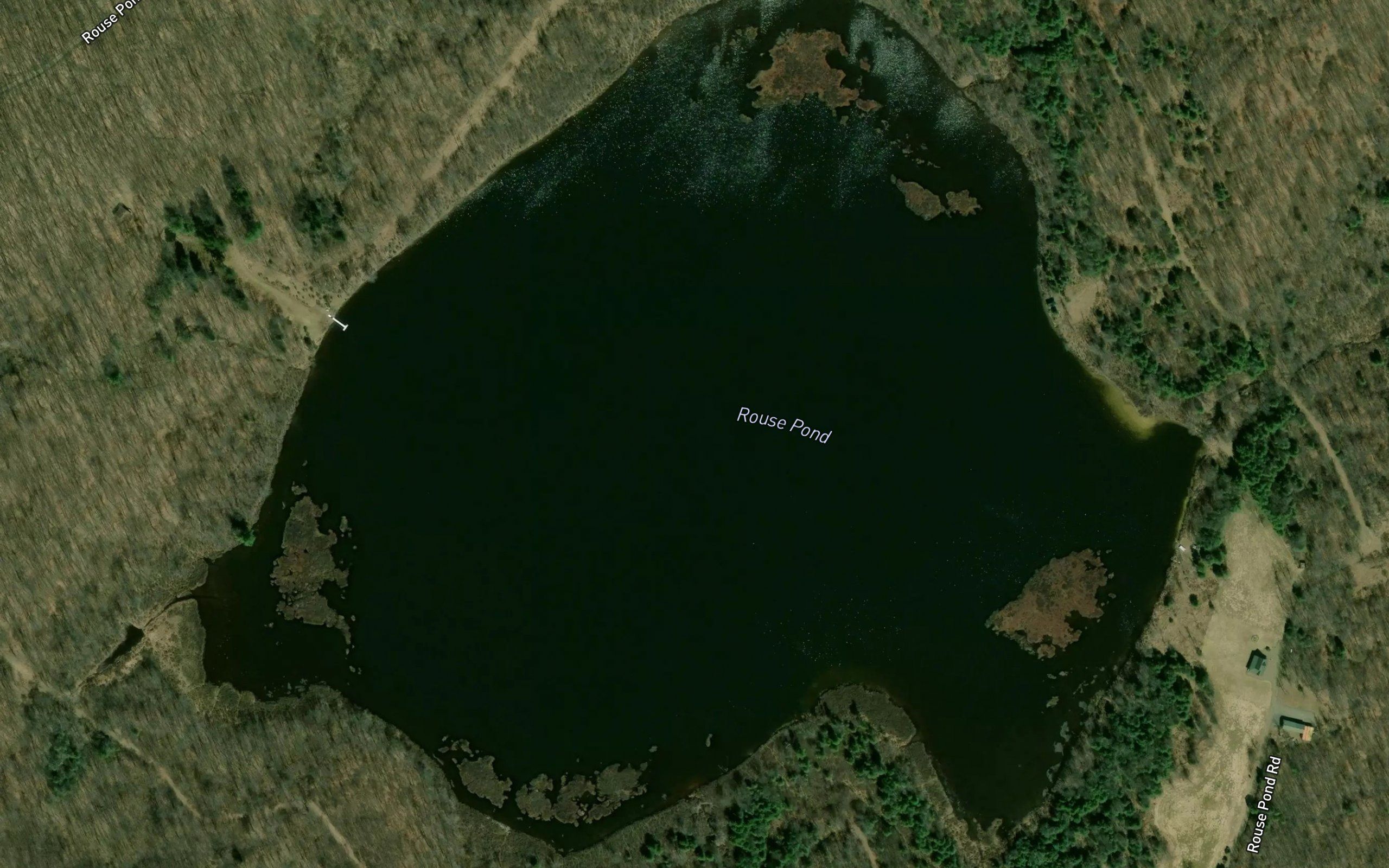 Rouse Pond