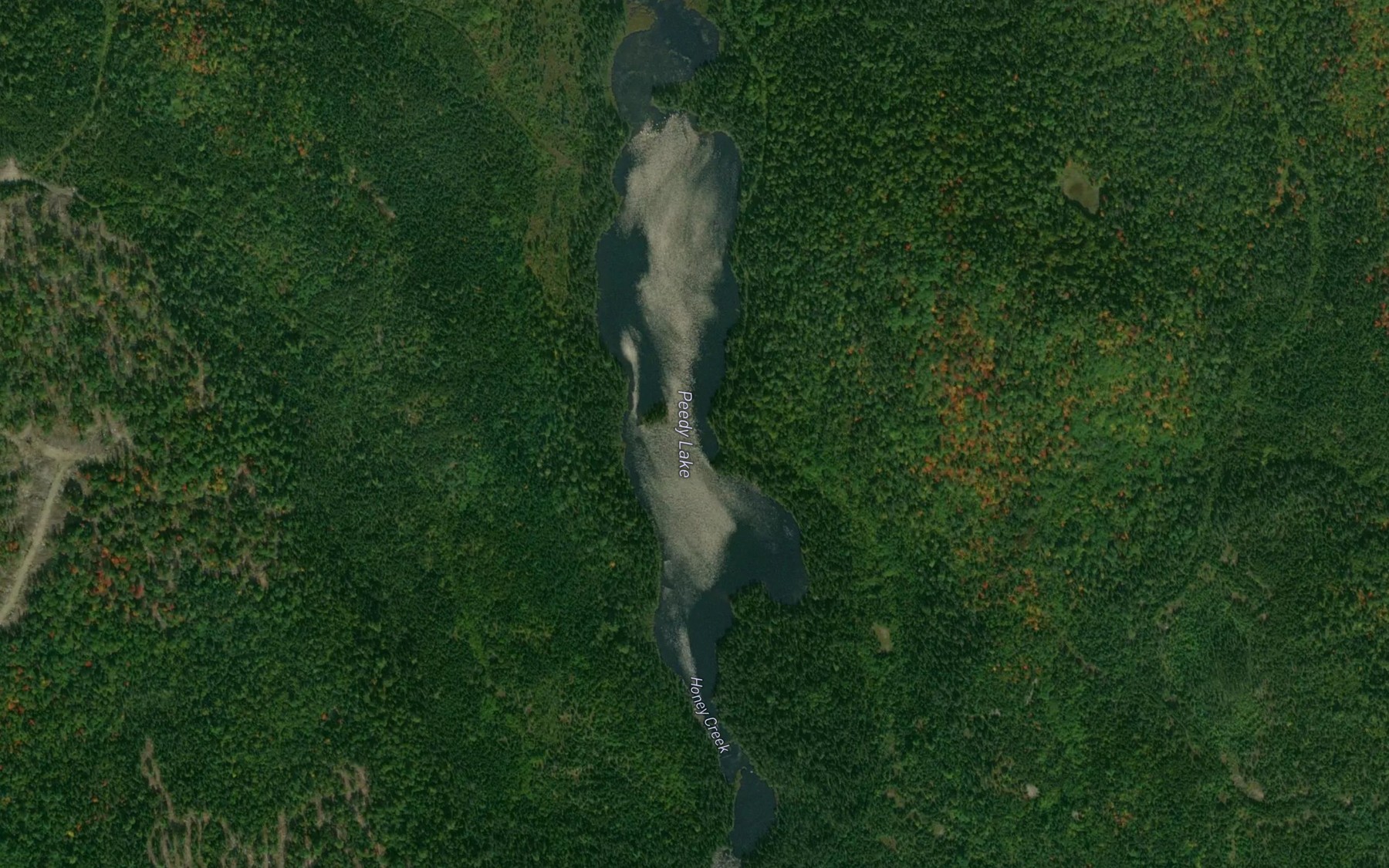 Satellite map of the Peedy Lake