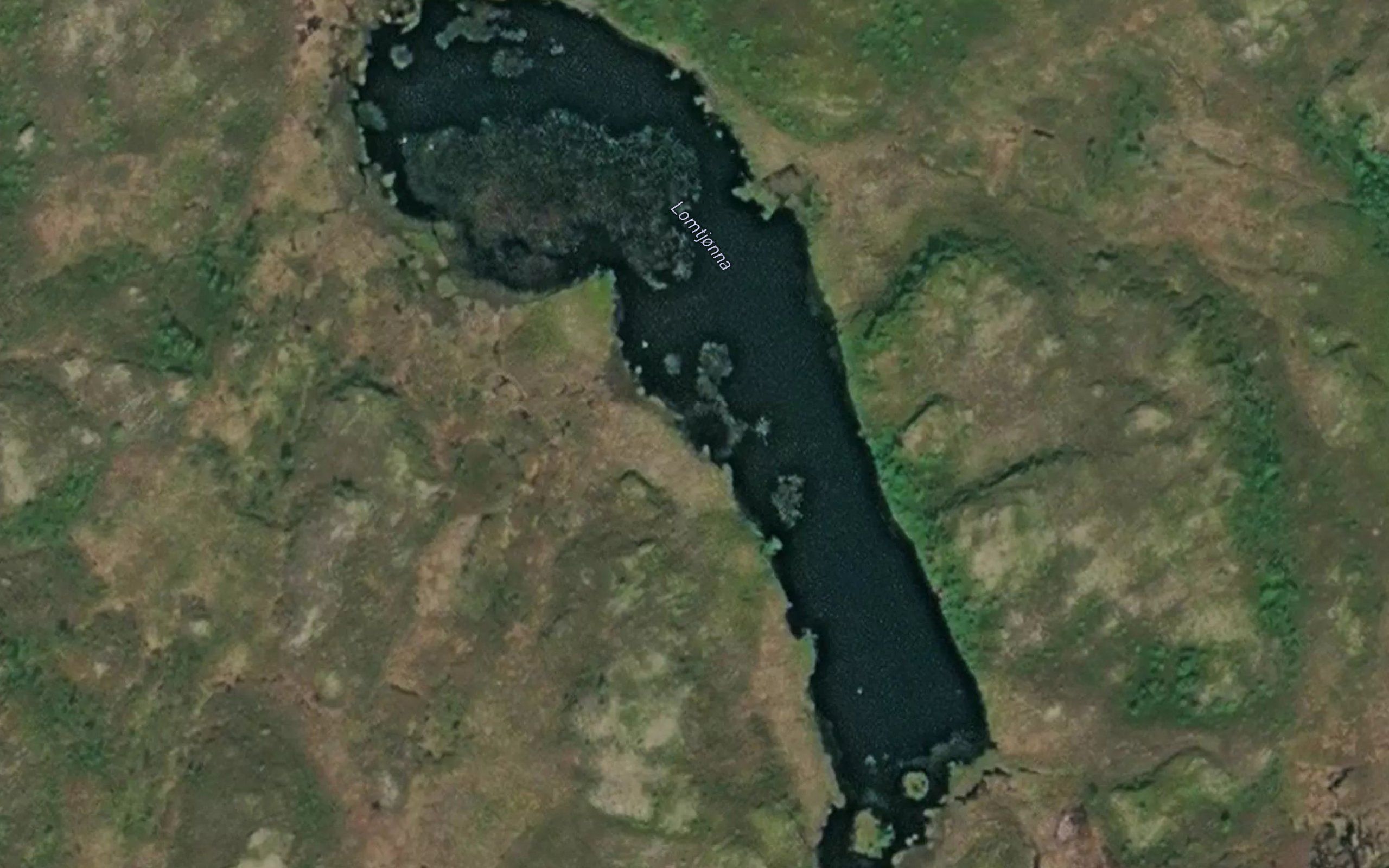 Lomtjonna