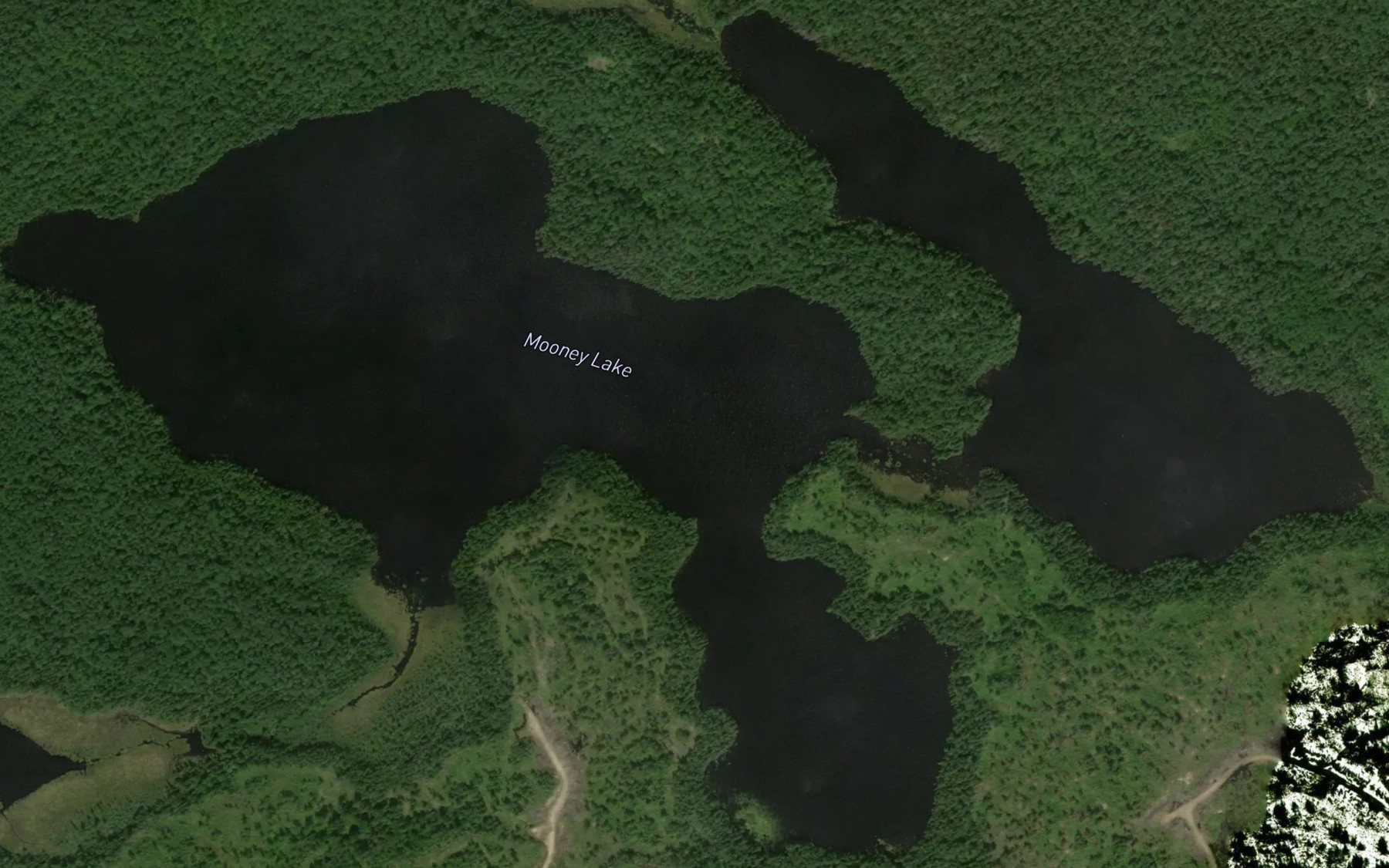 Satellite map of the Mooney Lake