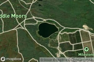 Gibbs Pond