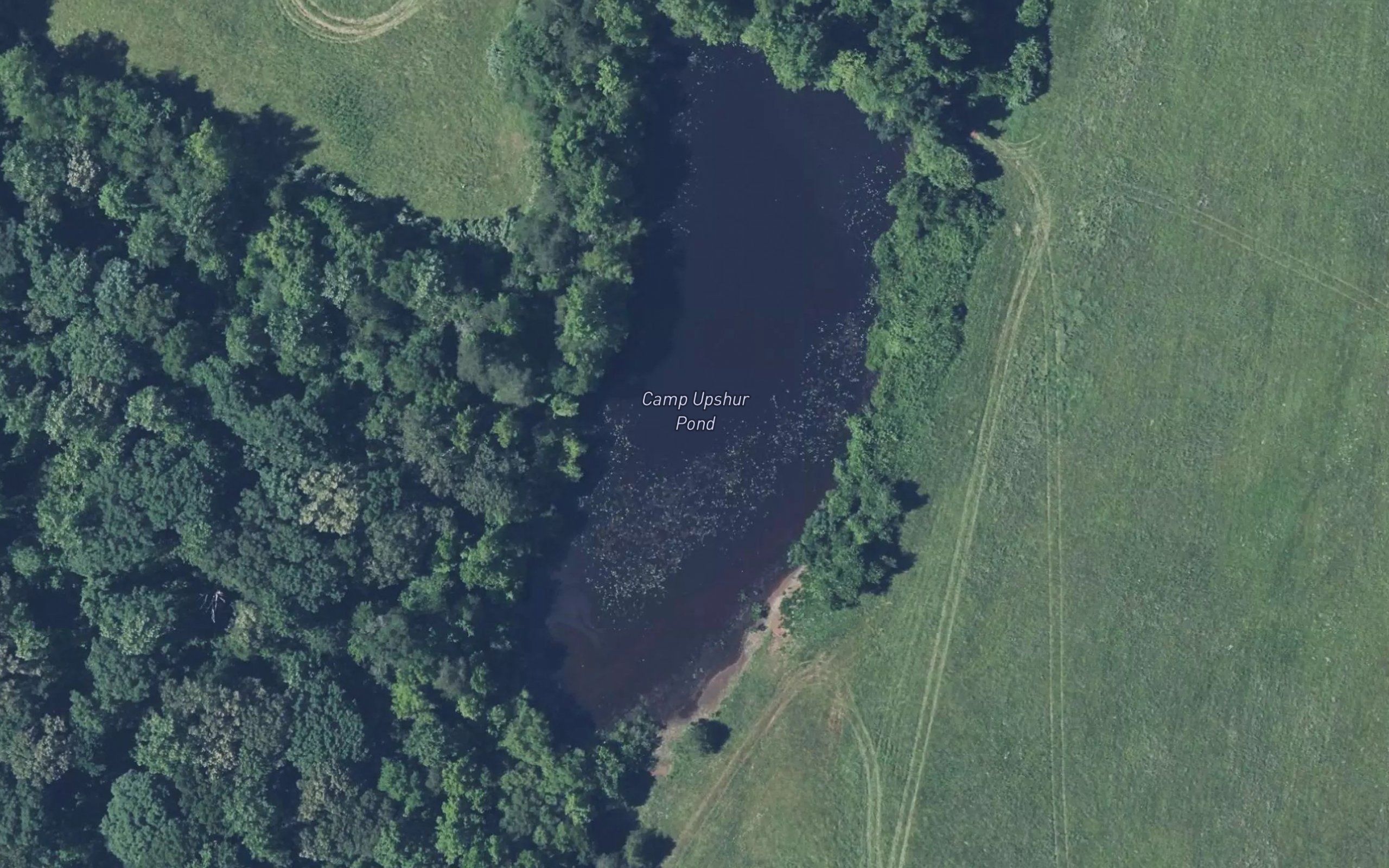 Camp Upshur Pond