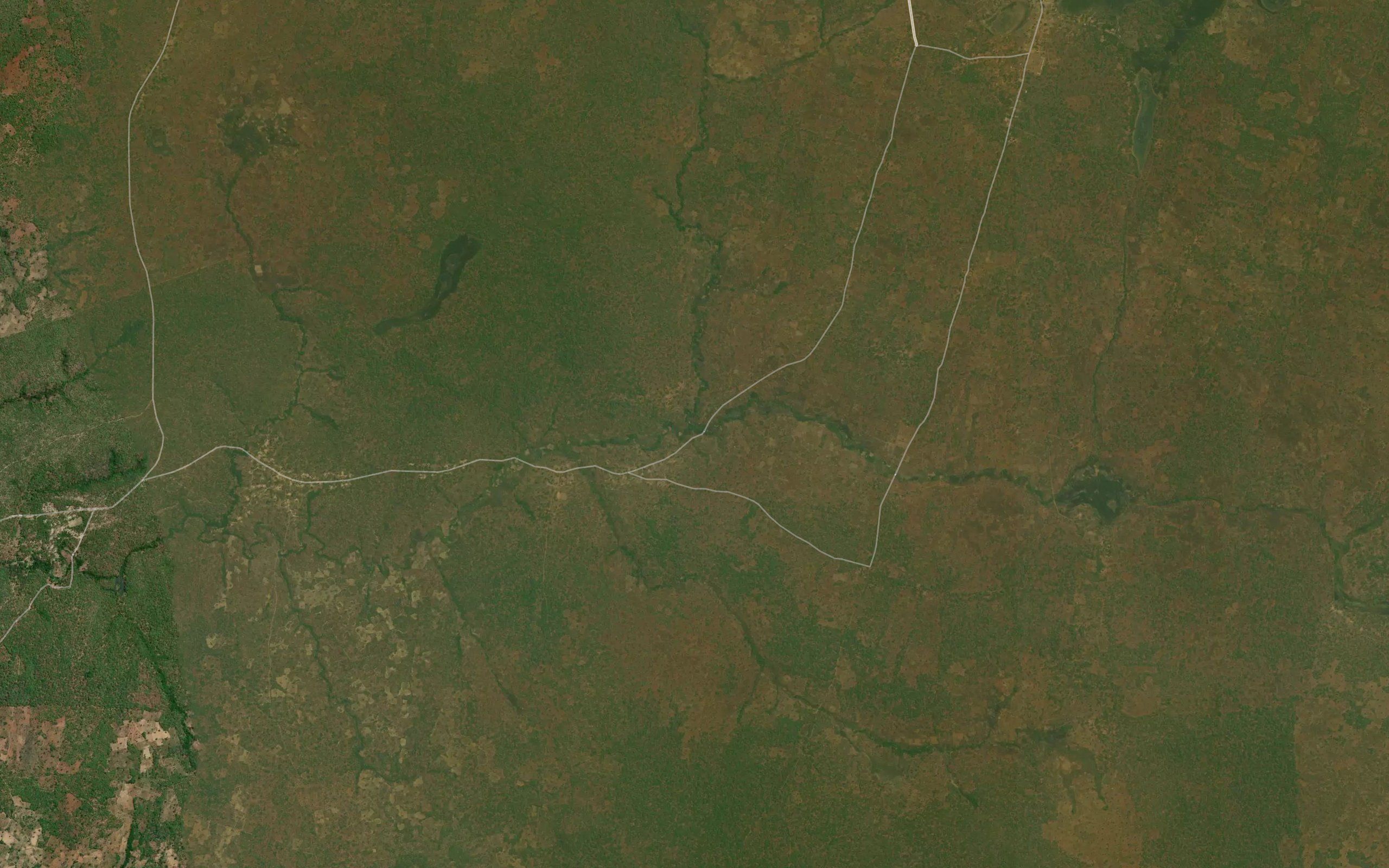 Nyangombi