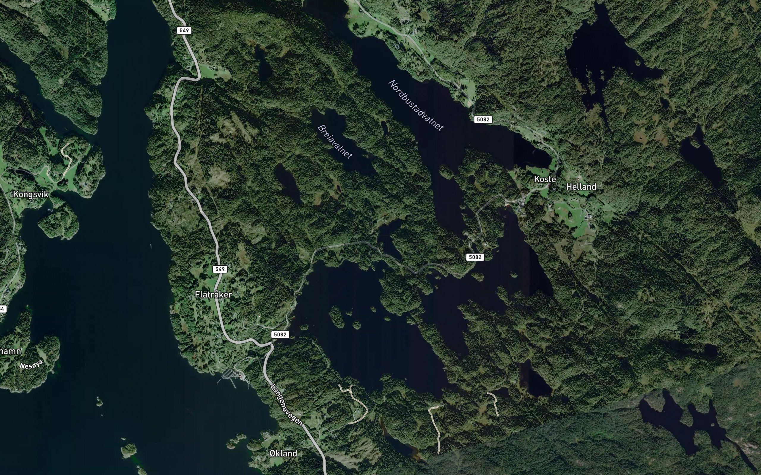 Gjeldnete-