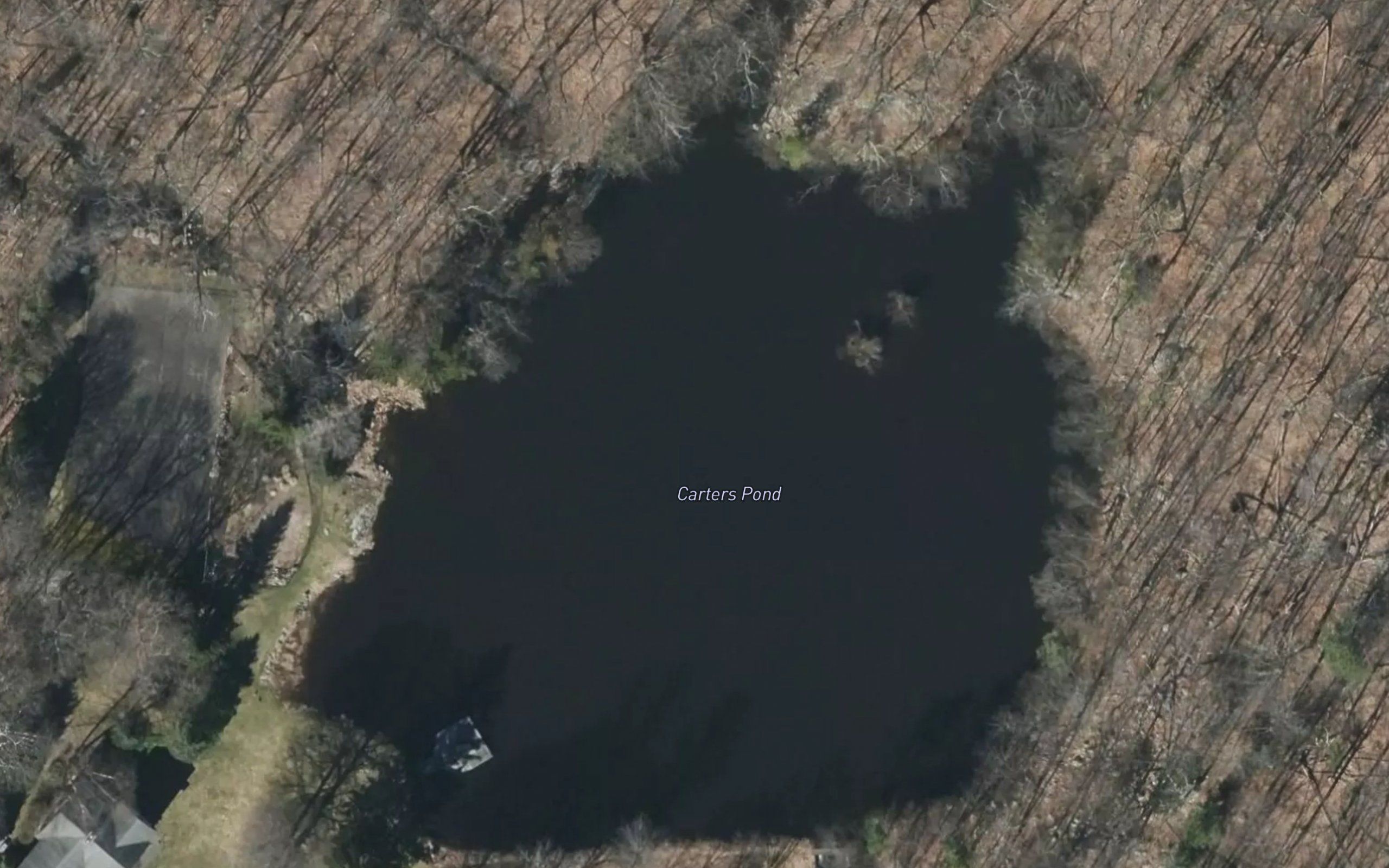 Carters Pond