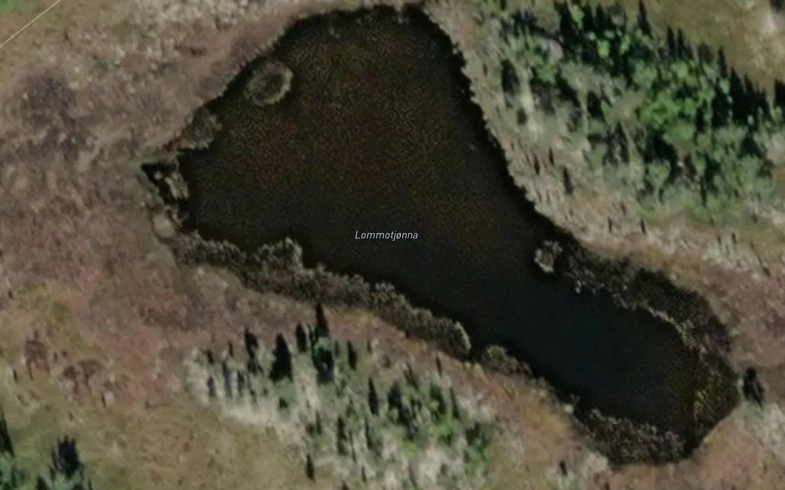 Lommotjorna