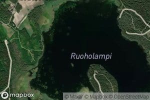 Ruoholampi